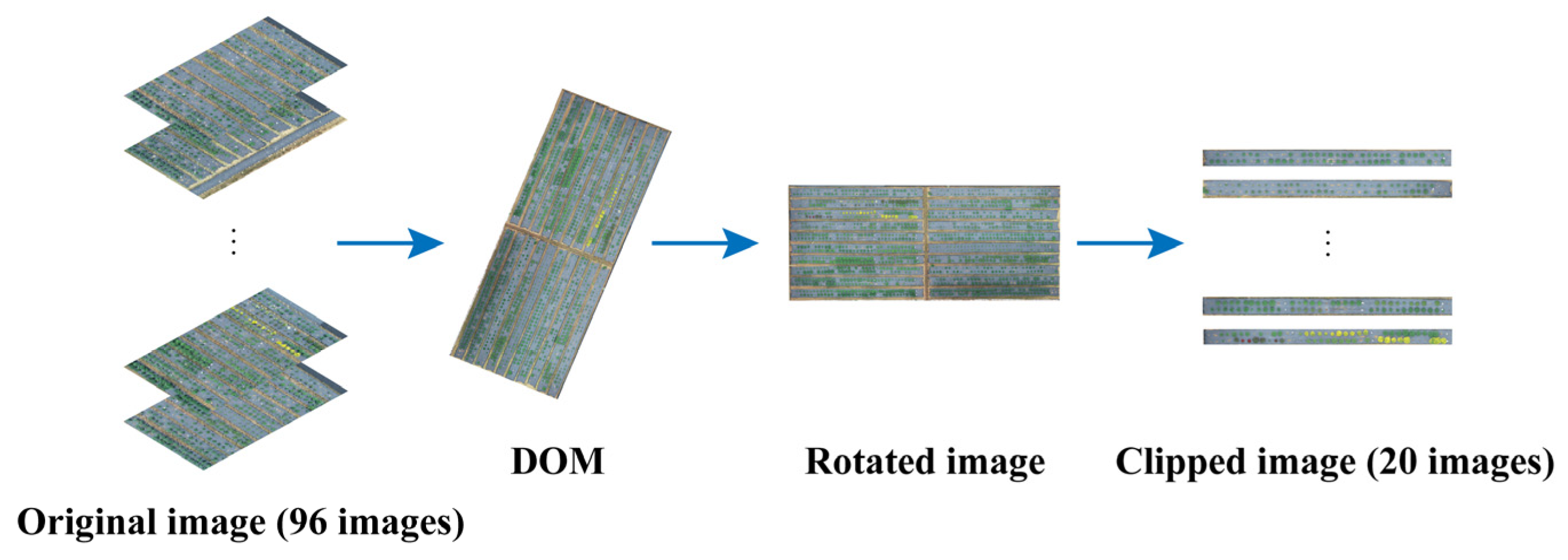 Agronomy 14 00337 g002 Agronomy 14 00337 g002
