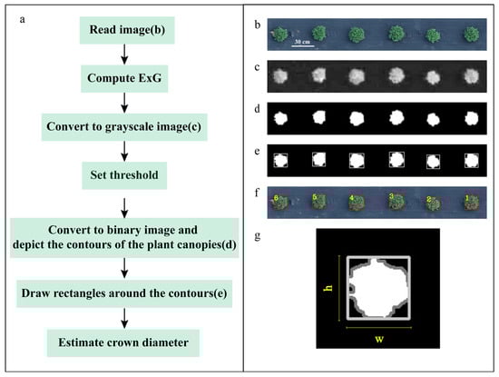 Agronomy 14 00337 g003