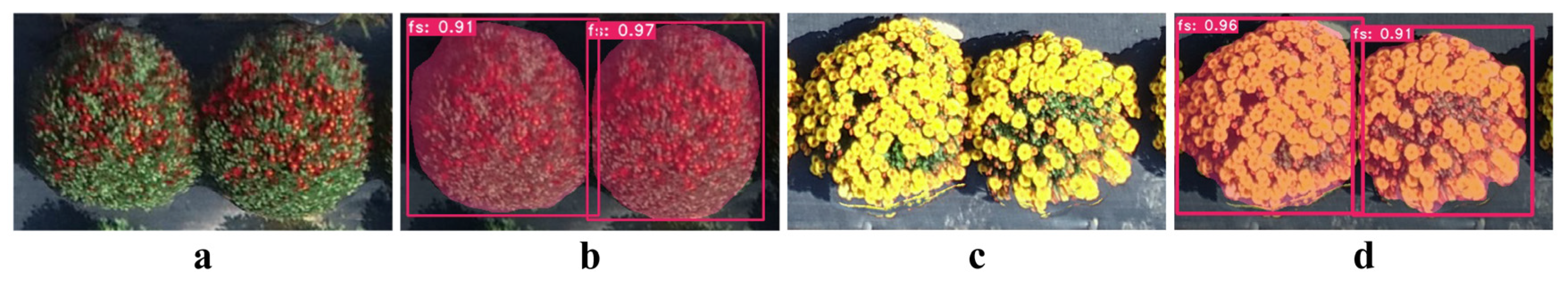 Agronomy 14 00337 g012 Agronomy 14 00337 g012