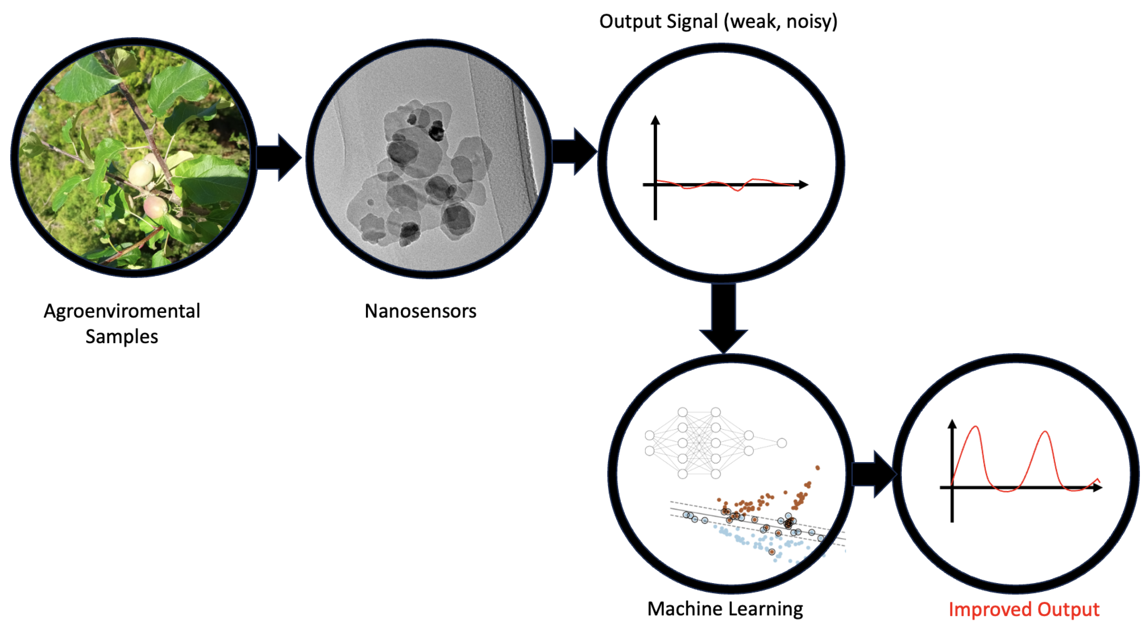 Agronomy 14 00341 g008