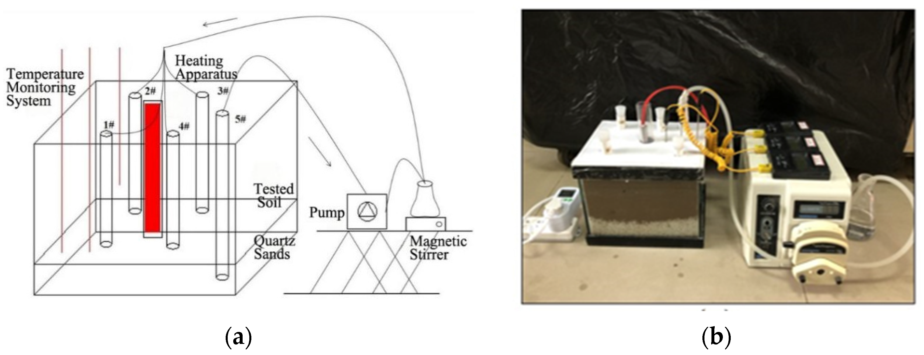 Agronomy 14 00348 g001
