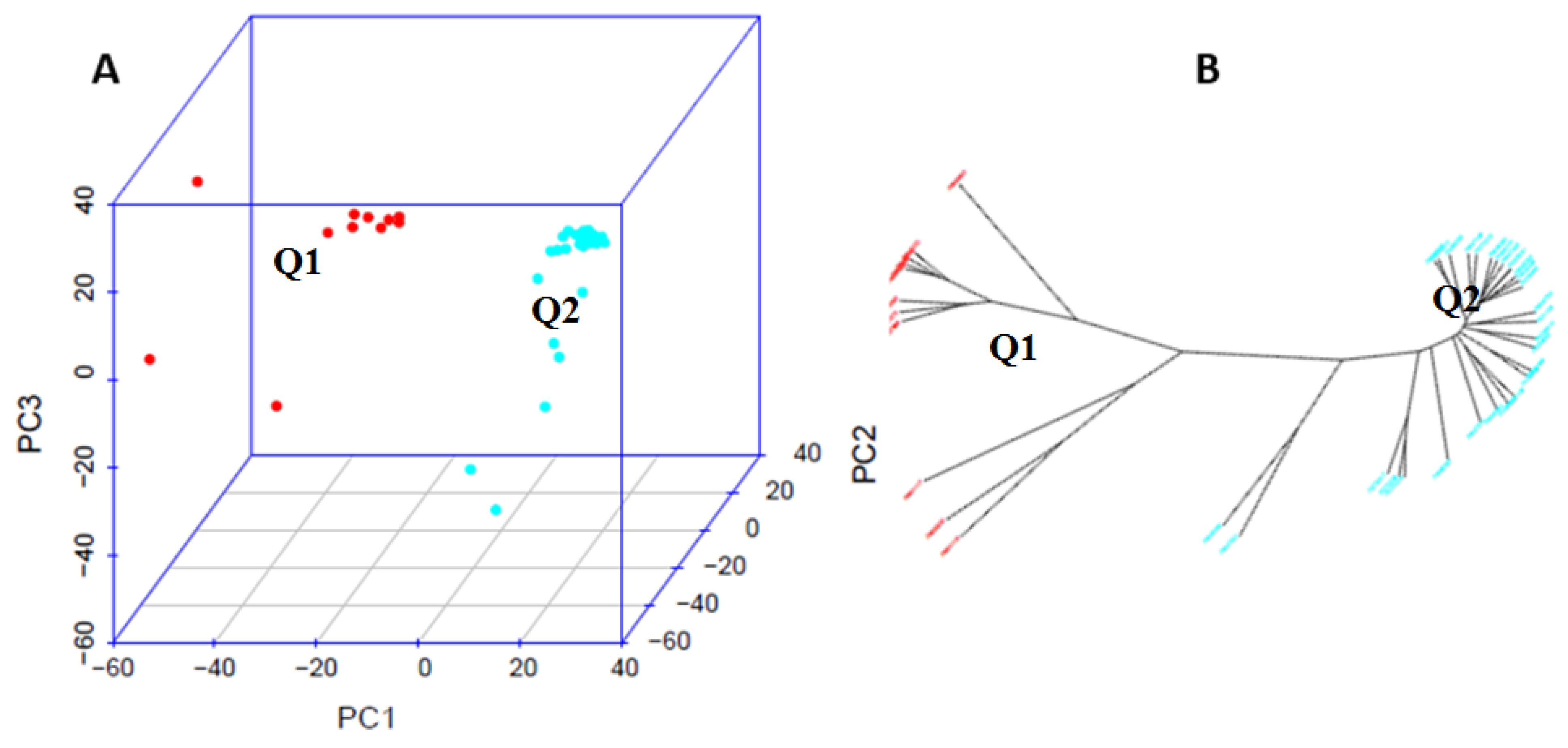 Agronomy 14 00350 g004