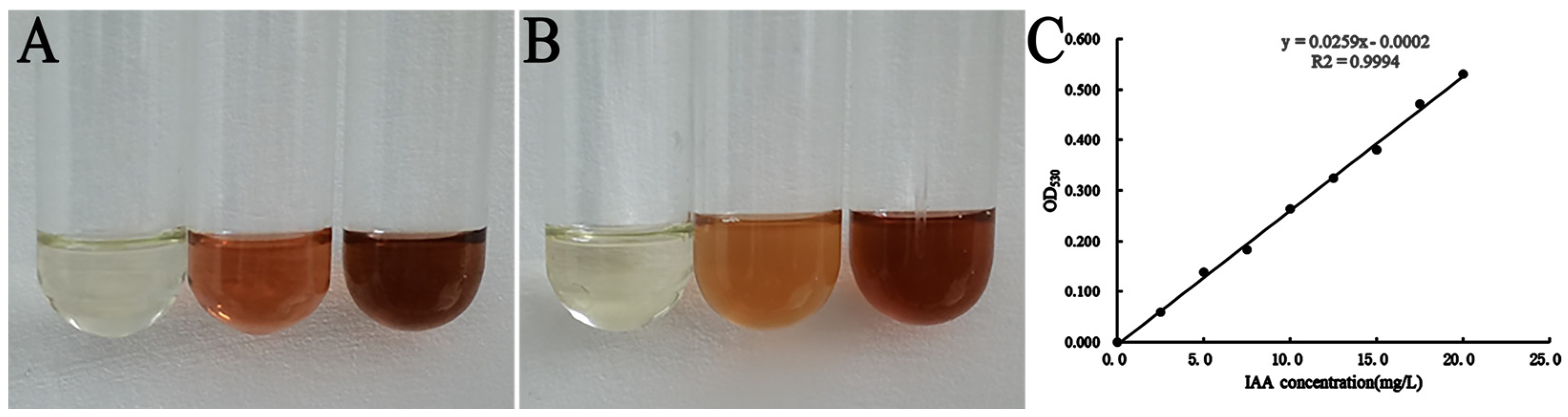 Agronomy 14 00351 g006