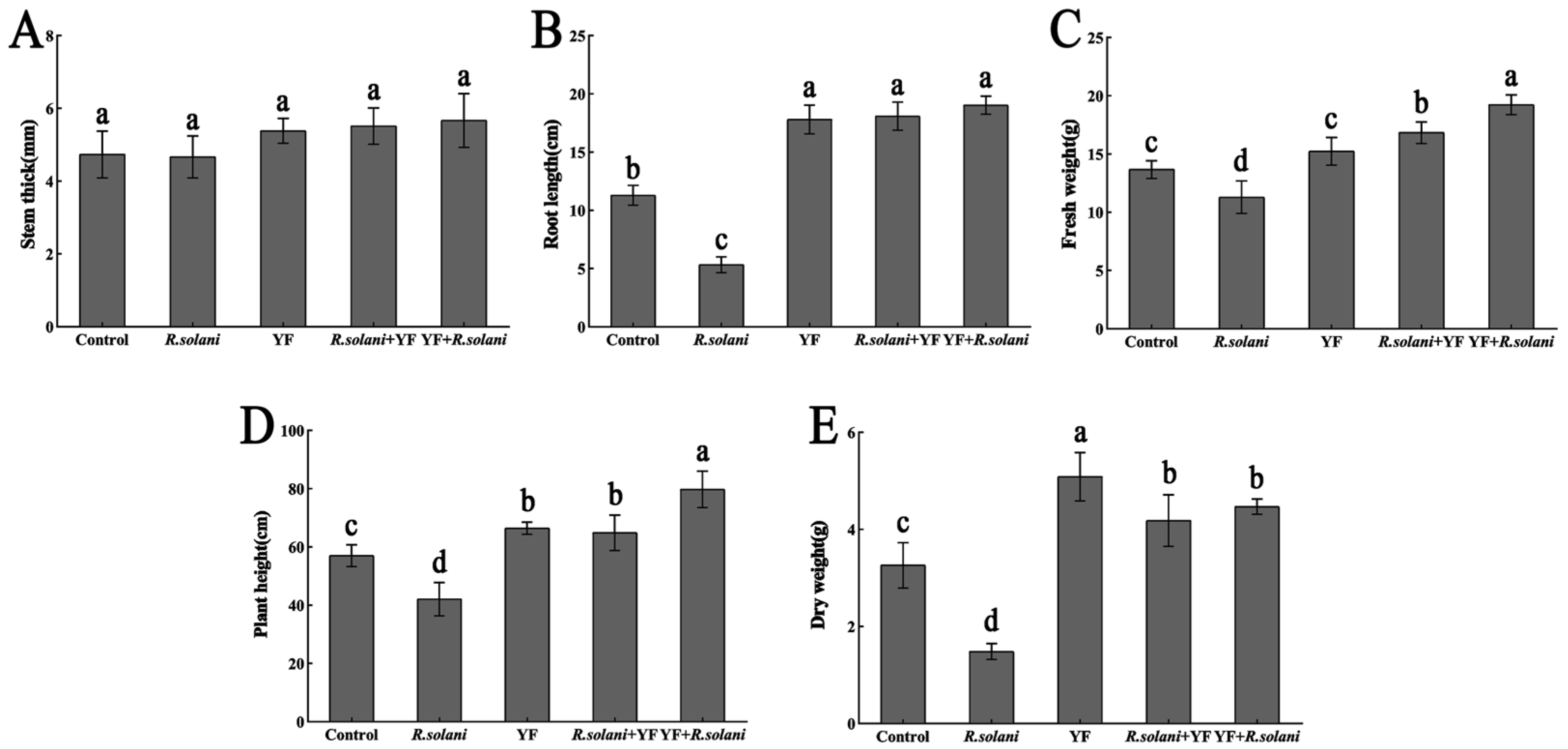 Agronomy 14 00351 g011