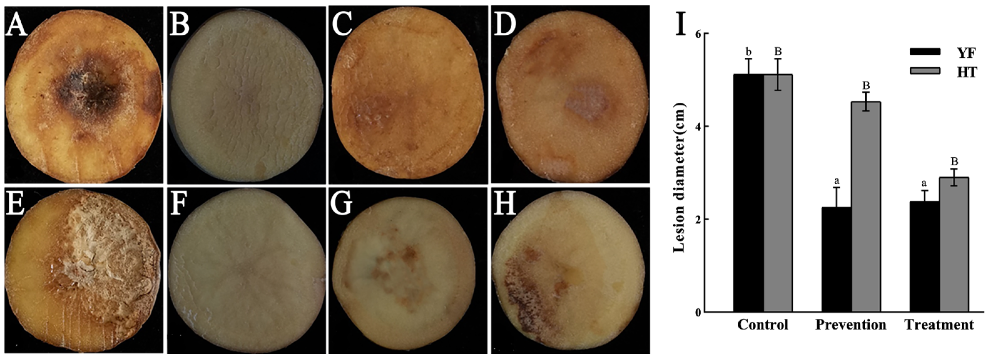 Agronomy 14 00351 g012
