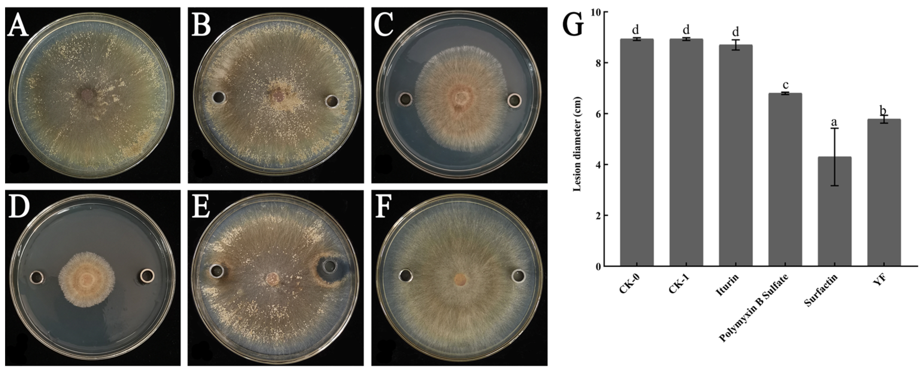 Agronomy 14 00351 g014