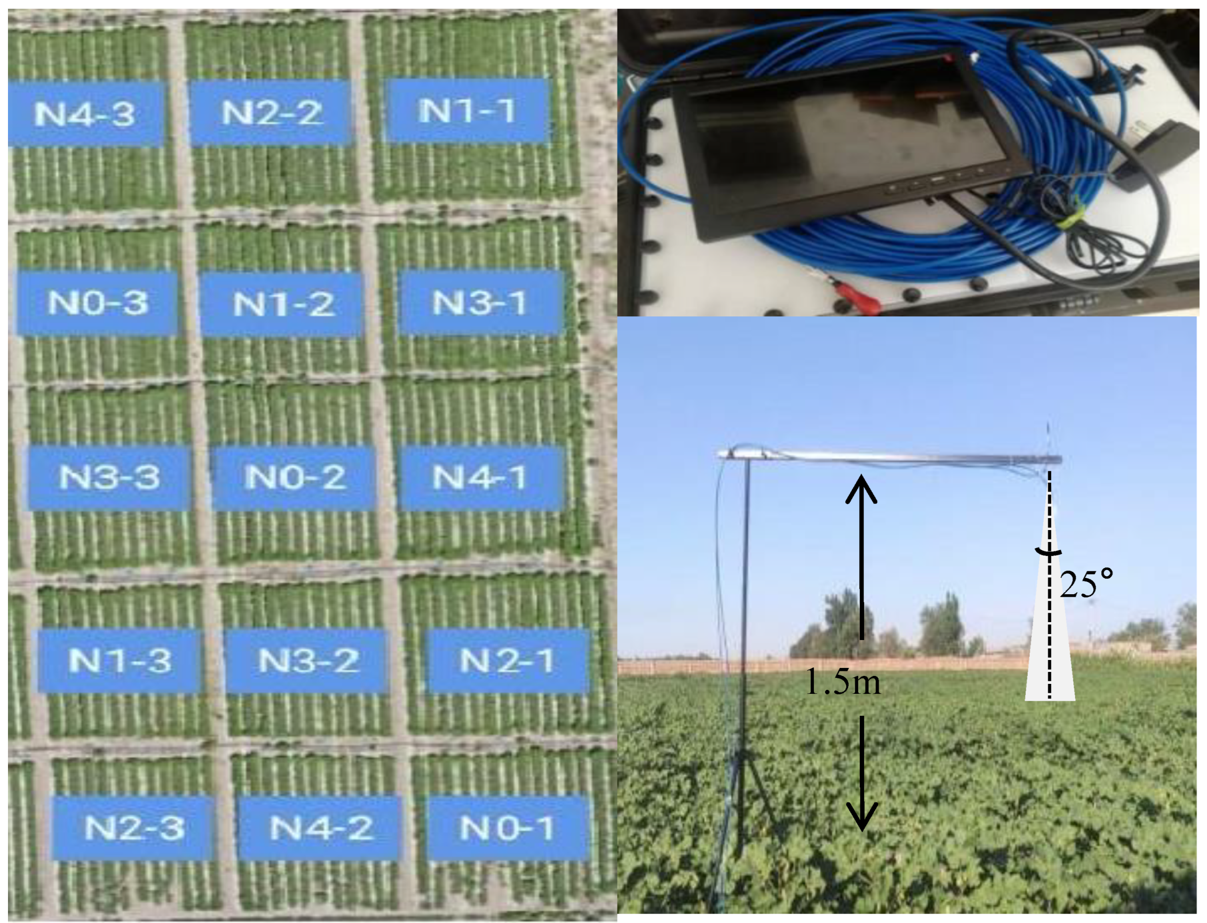 Agronomy 14 00364 g001
