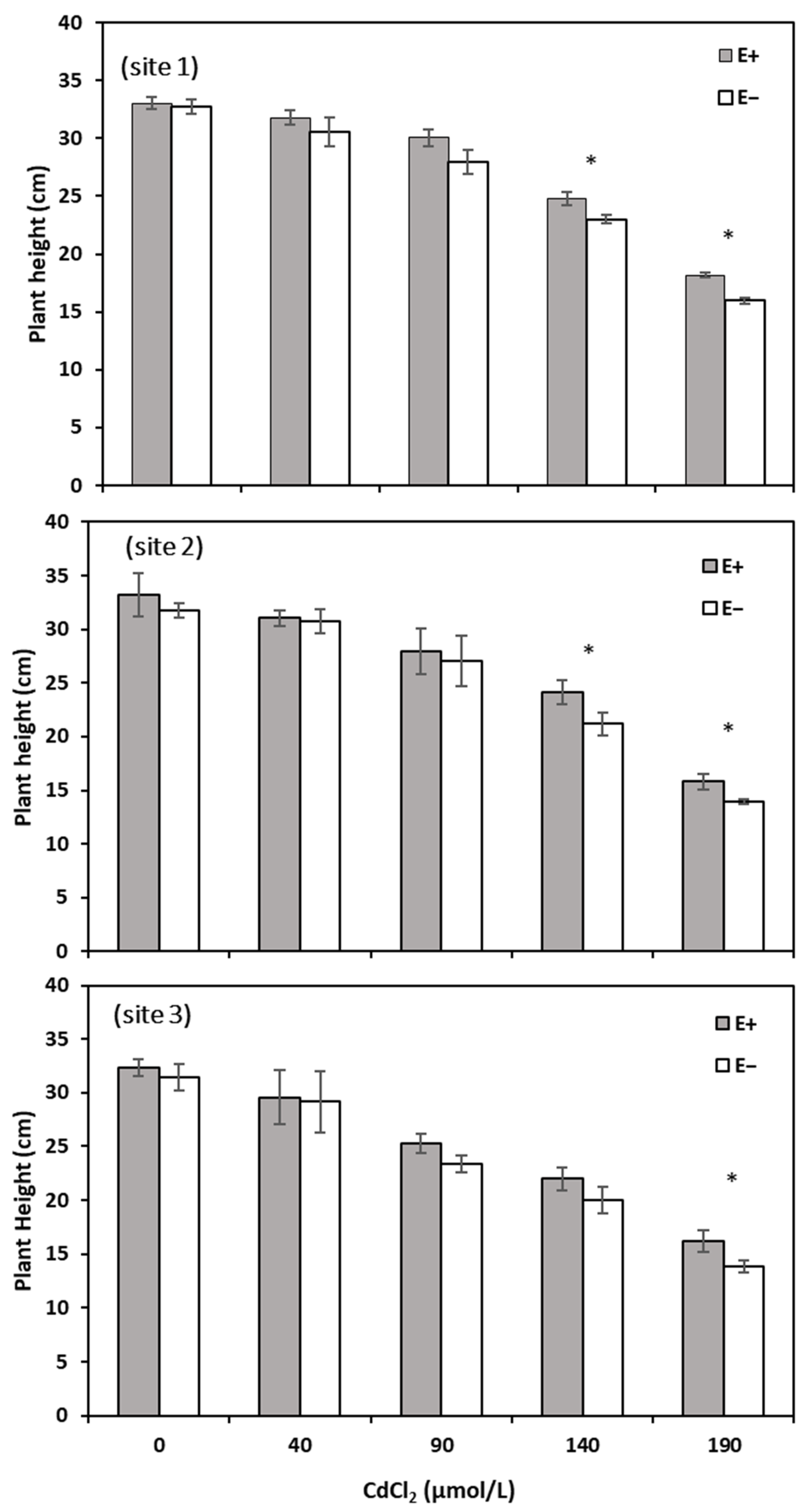 Agronomy 14 00365 g001