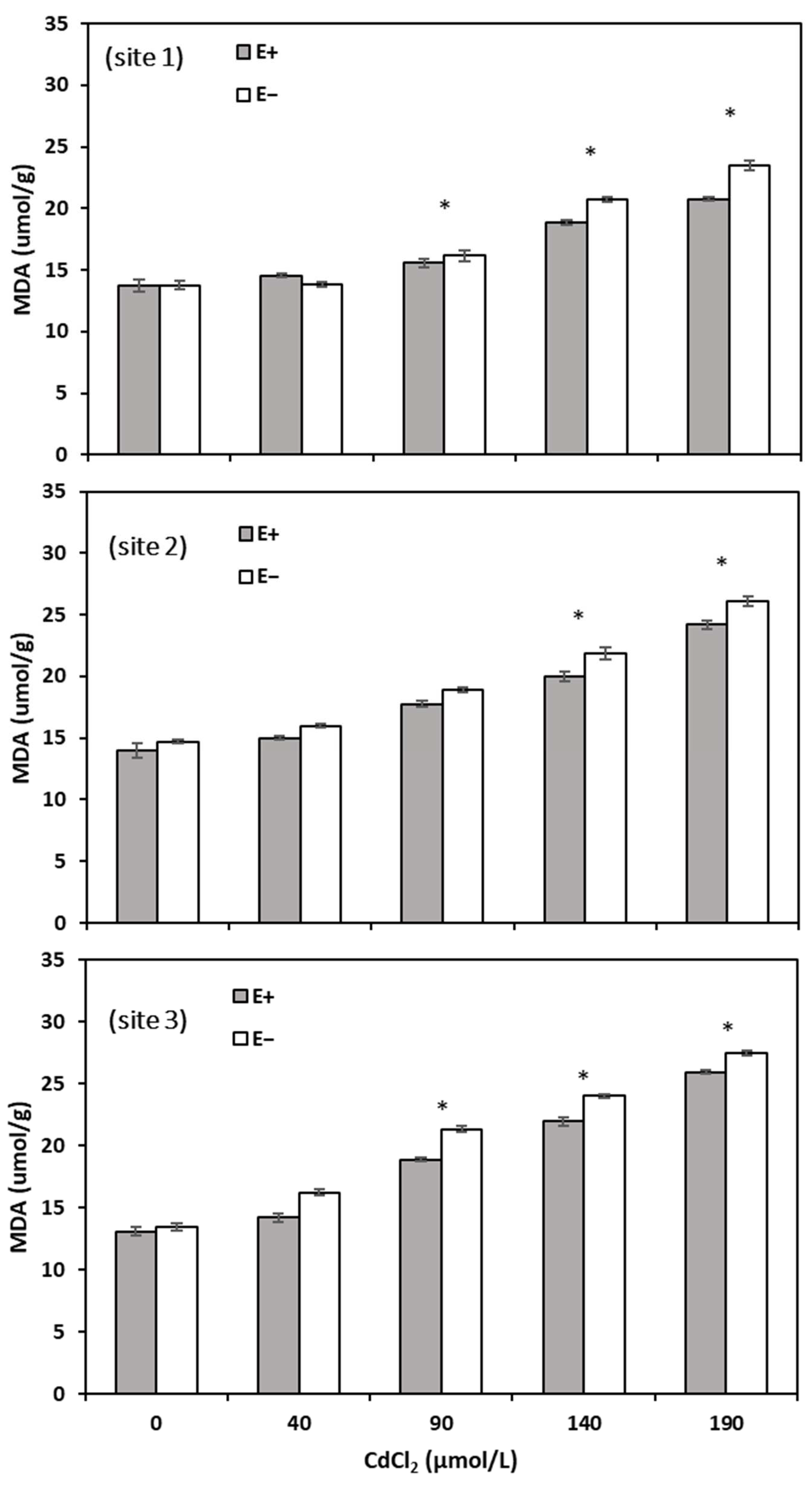 Agronomy 14 00365 g005