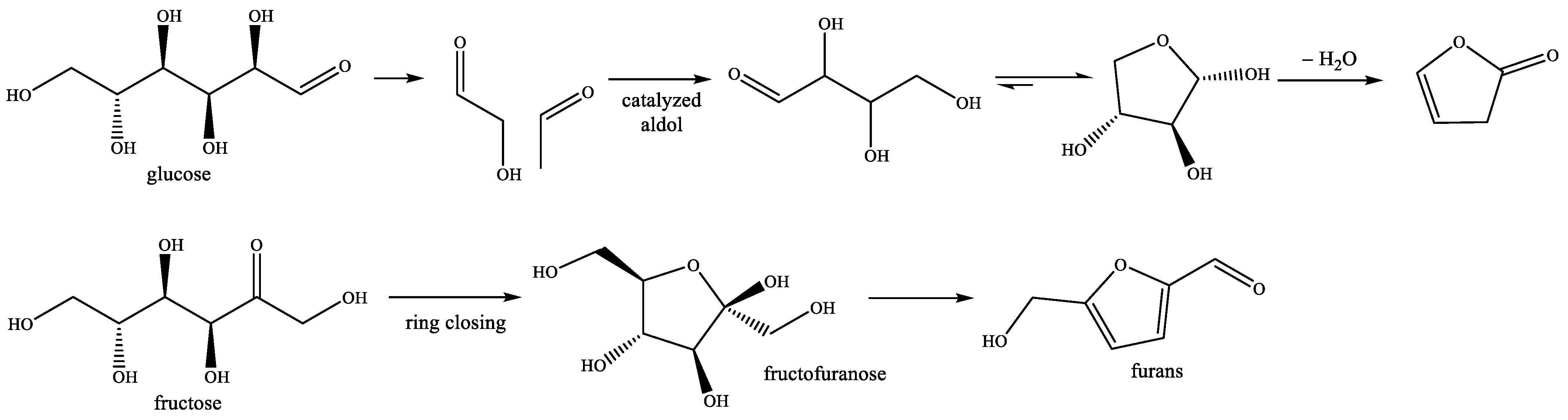 Agronomy 14 00383 g013