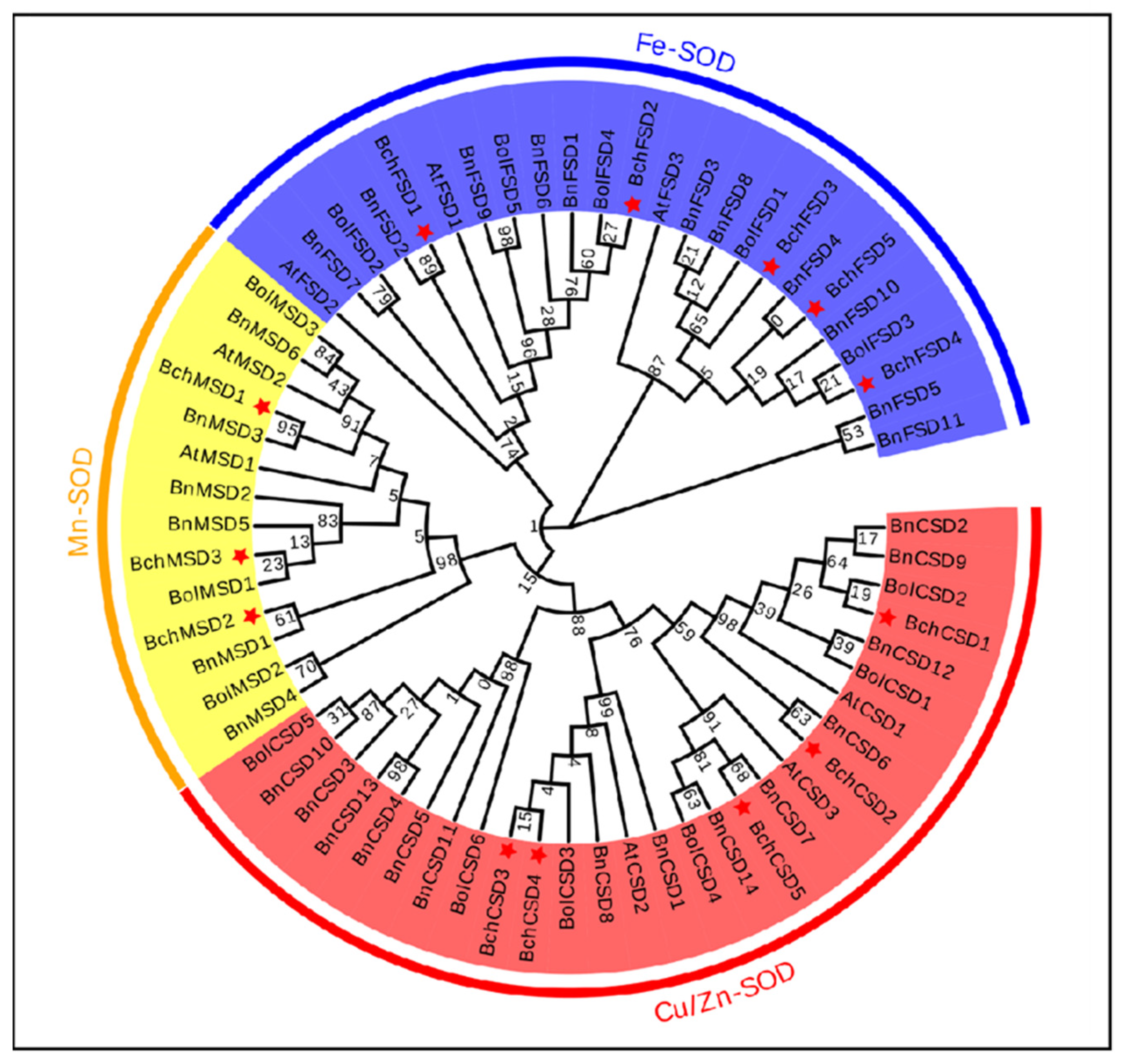 Agronomy 14 00384 g001