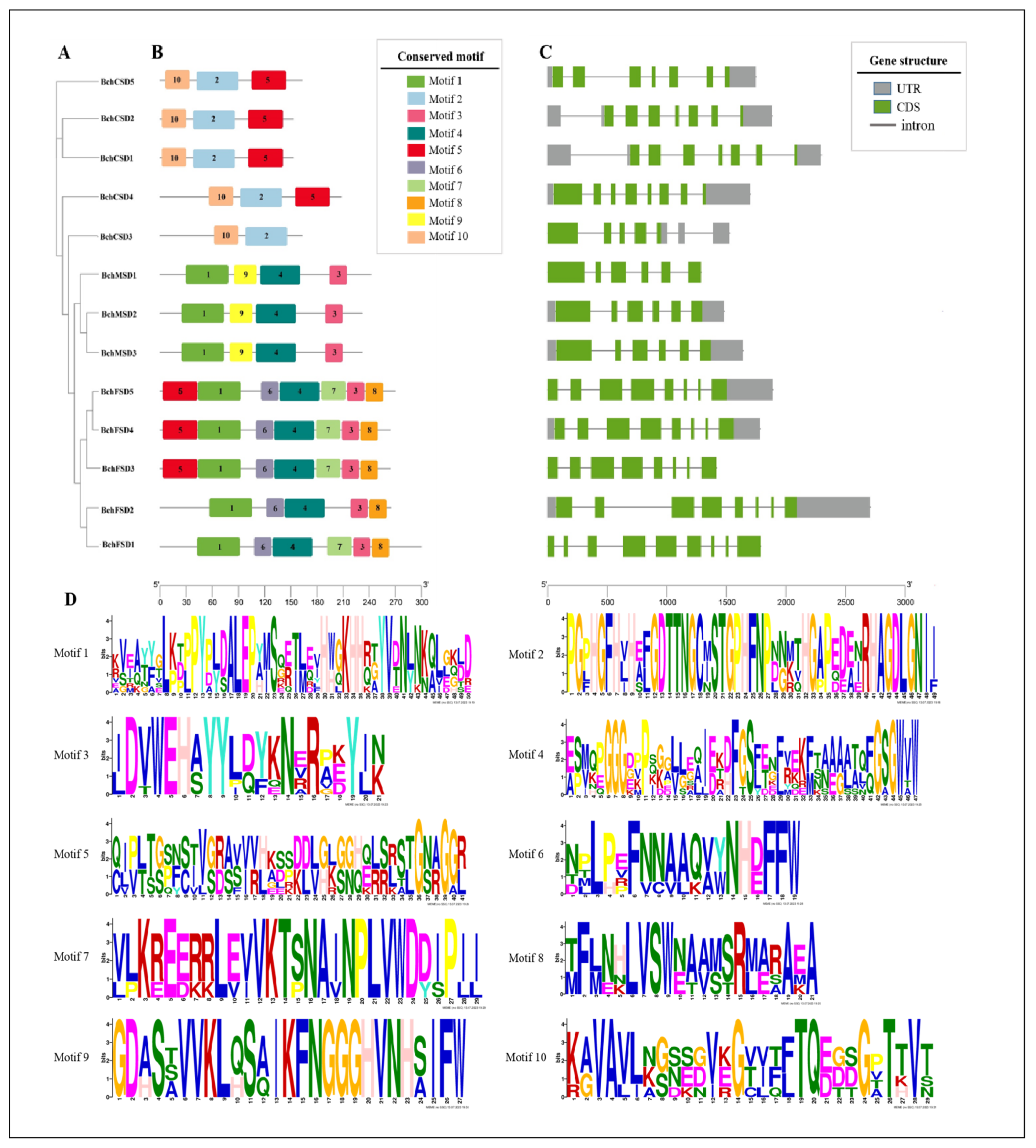 Agronomy 14 00384 g002