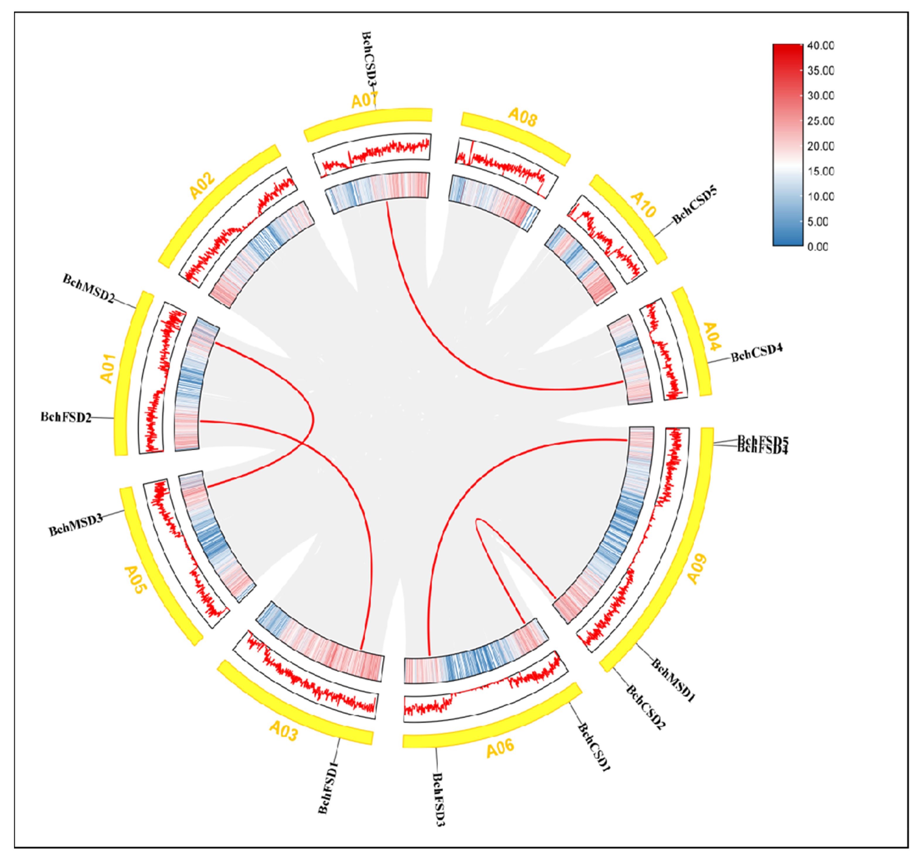 Agronomy 14 00384 g004