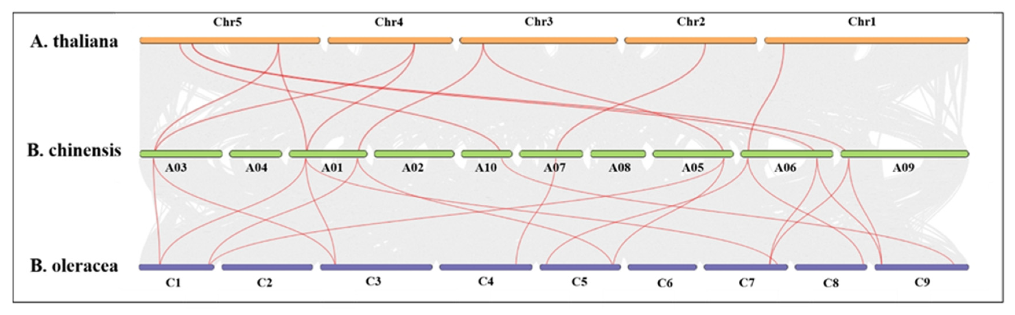 Agronomy 14 00384 g005