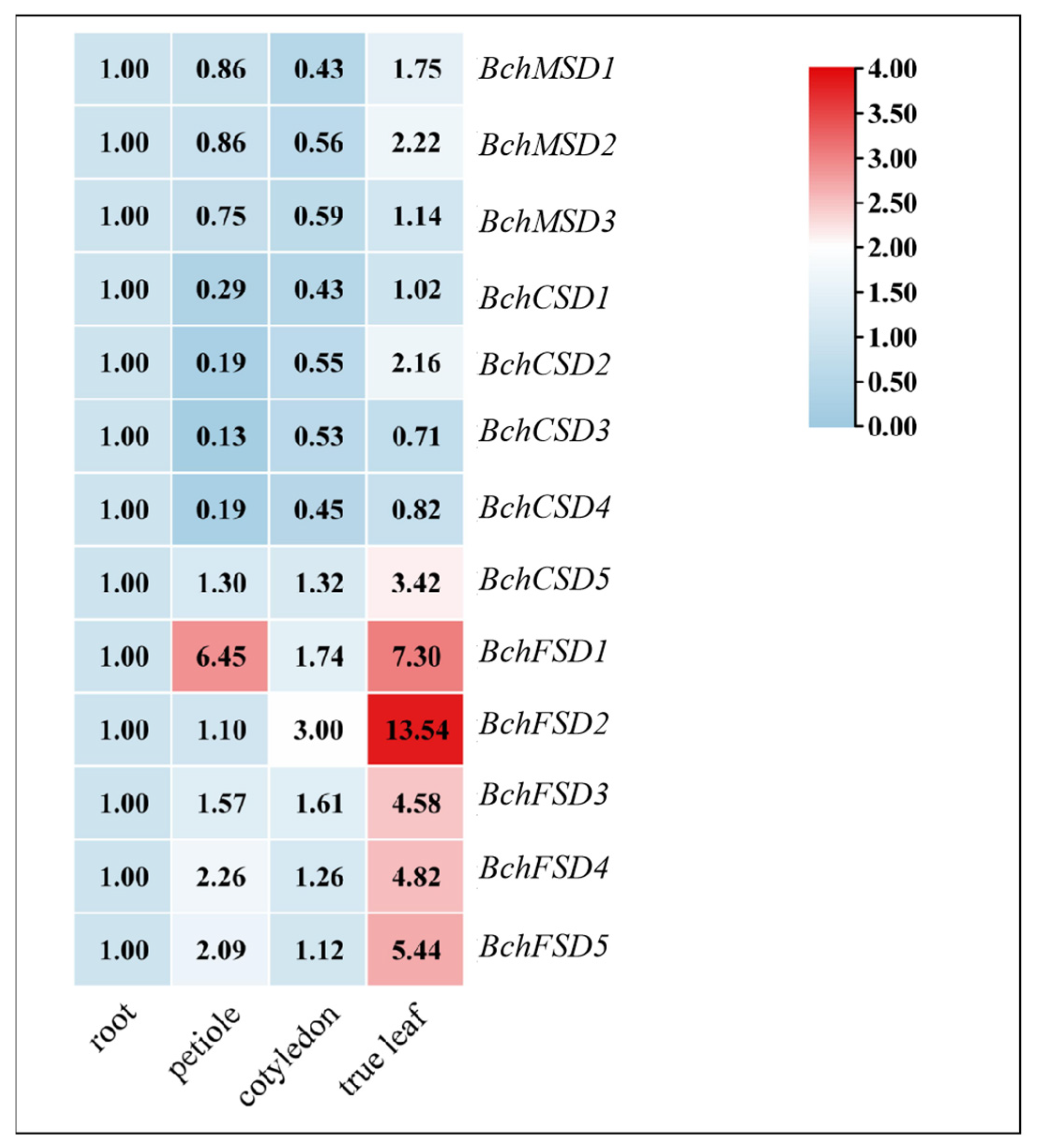 Agronomy 14 00384 g006