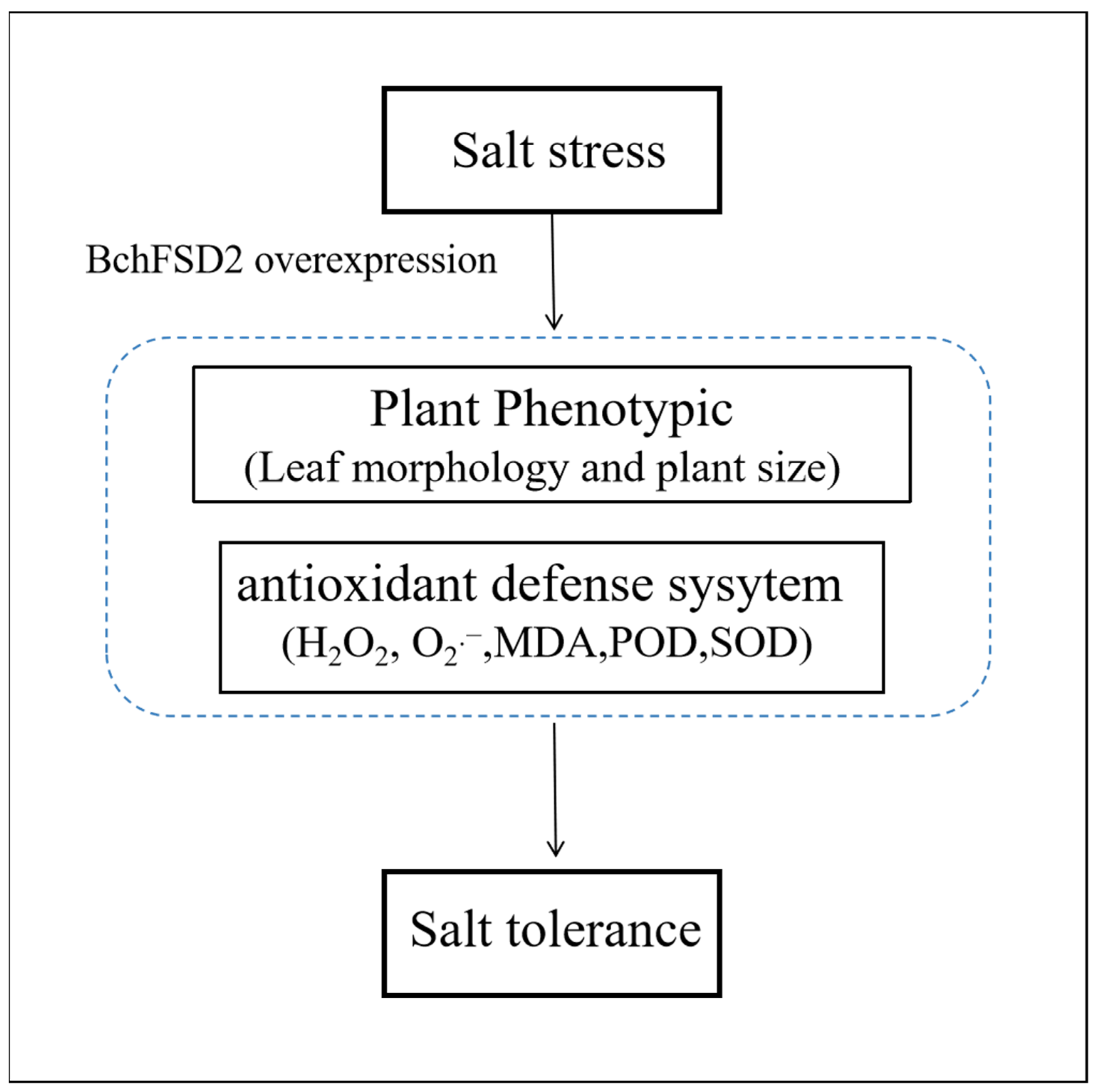 Agronomy 14 00384 g010