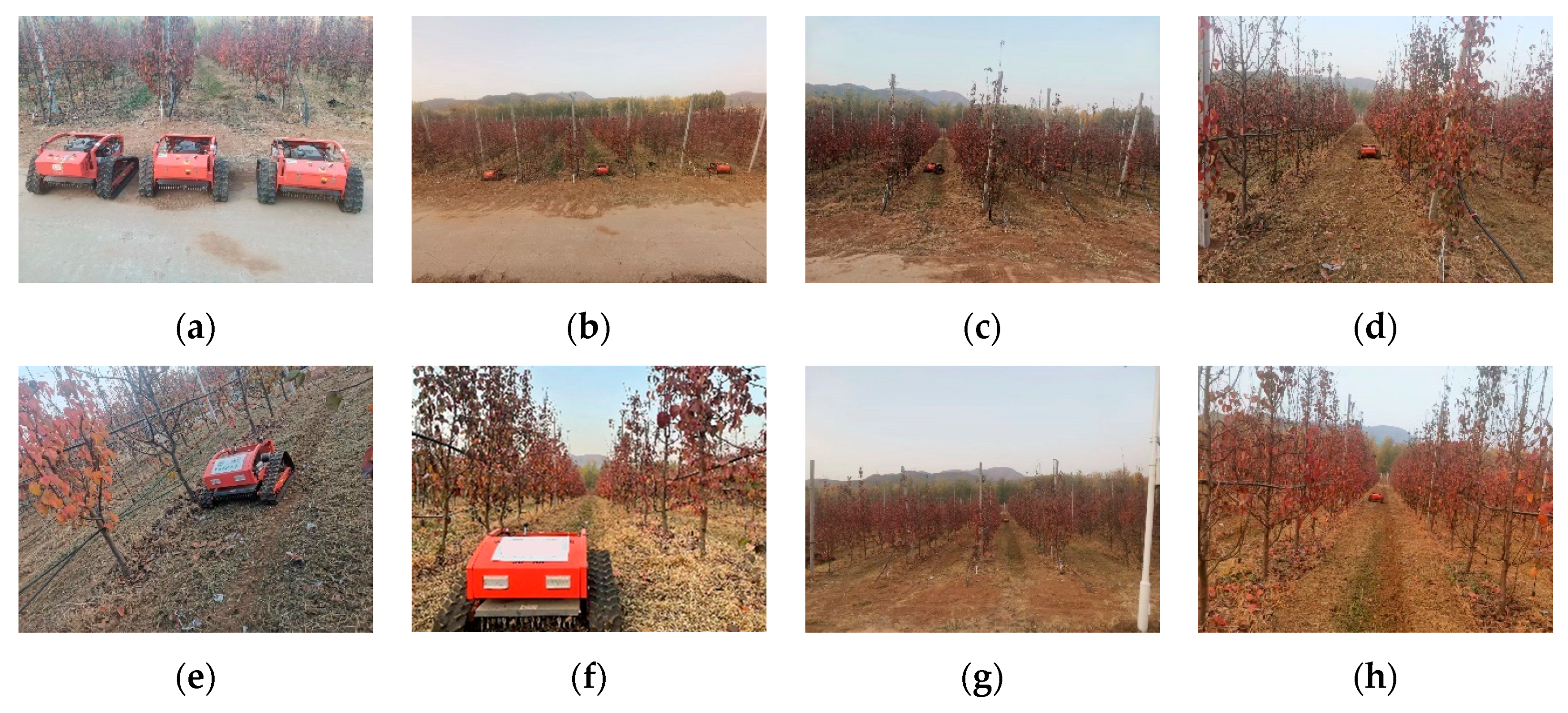 Agronomy 14 00391 g023