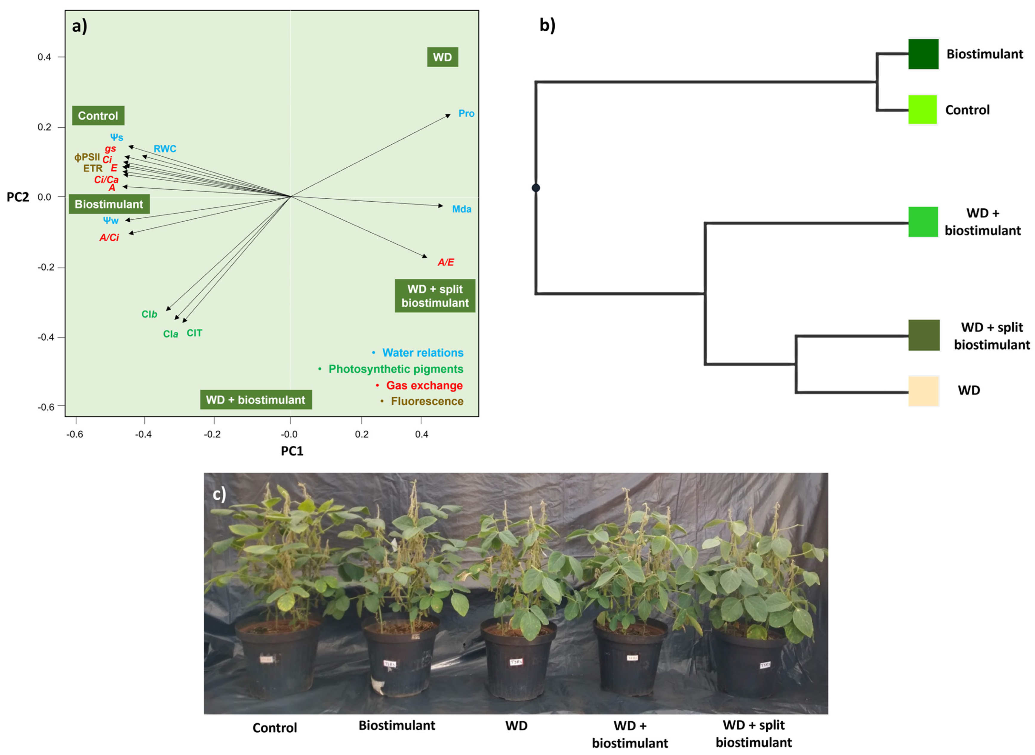 Agronomy 14 00414 g004