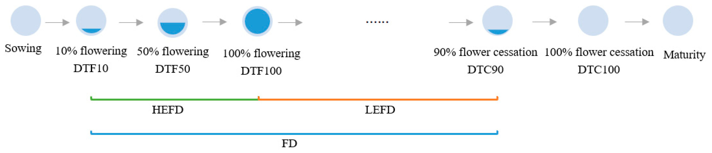 Agronomy 14 00434 g001