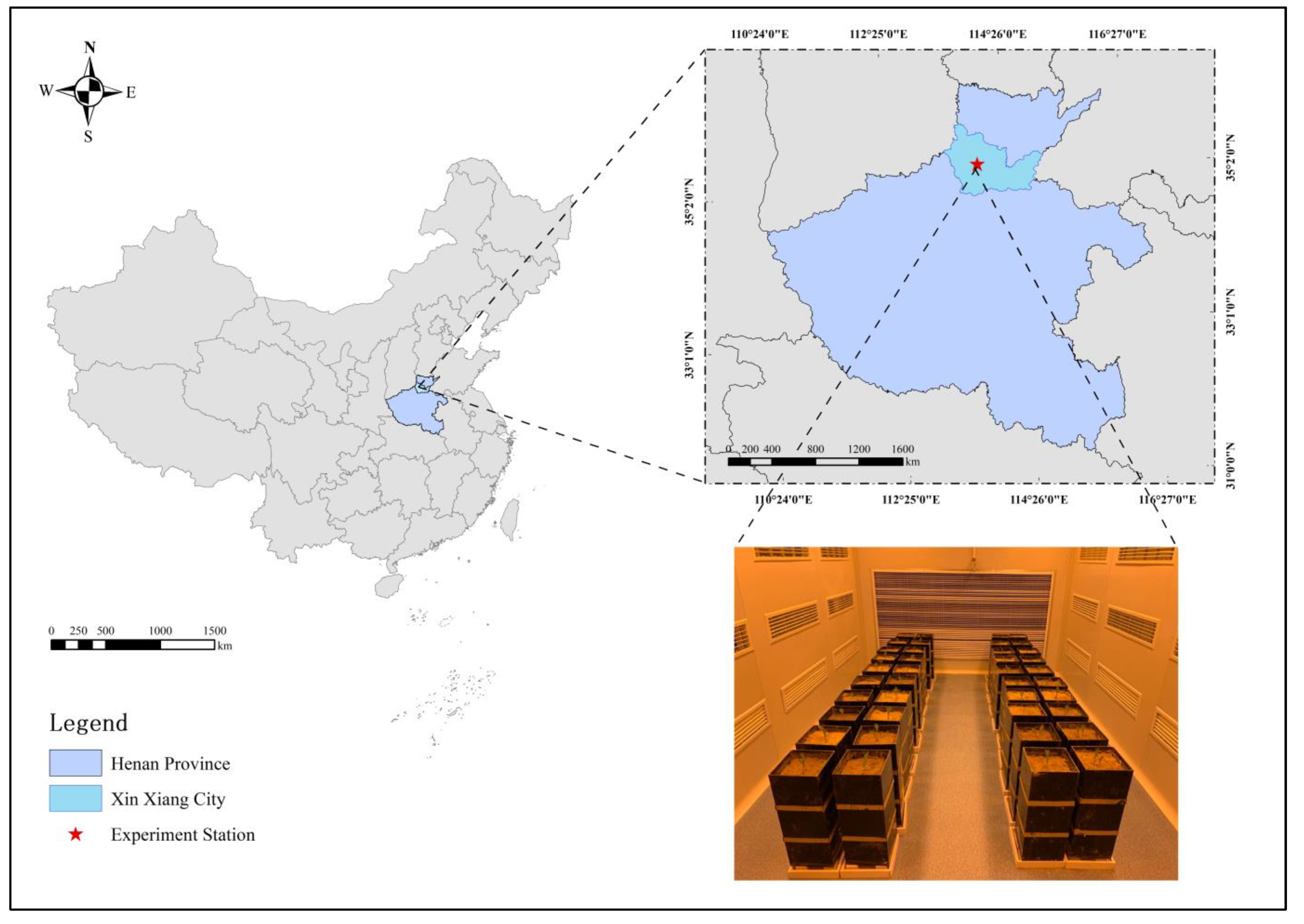 Agronomy 14 00438 g001