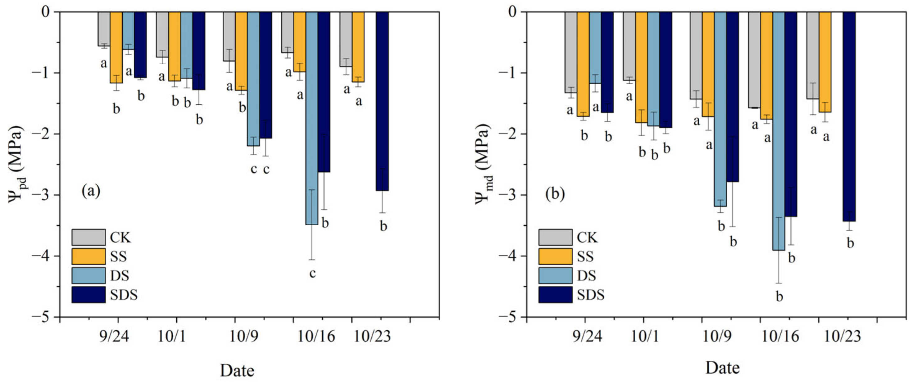 Agronomy 14 00439 g002