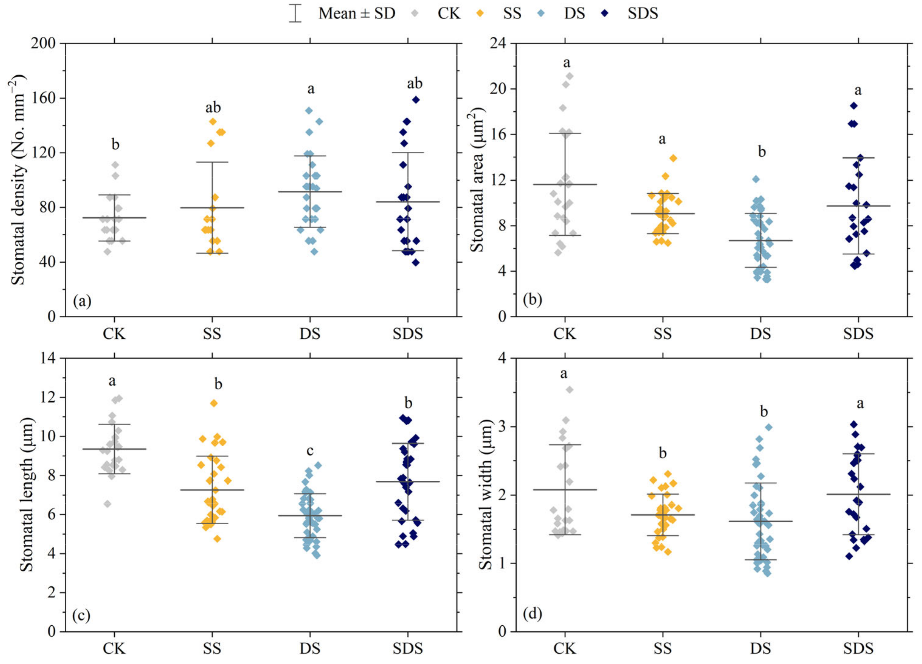 Agronomy 14 00439 g004