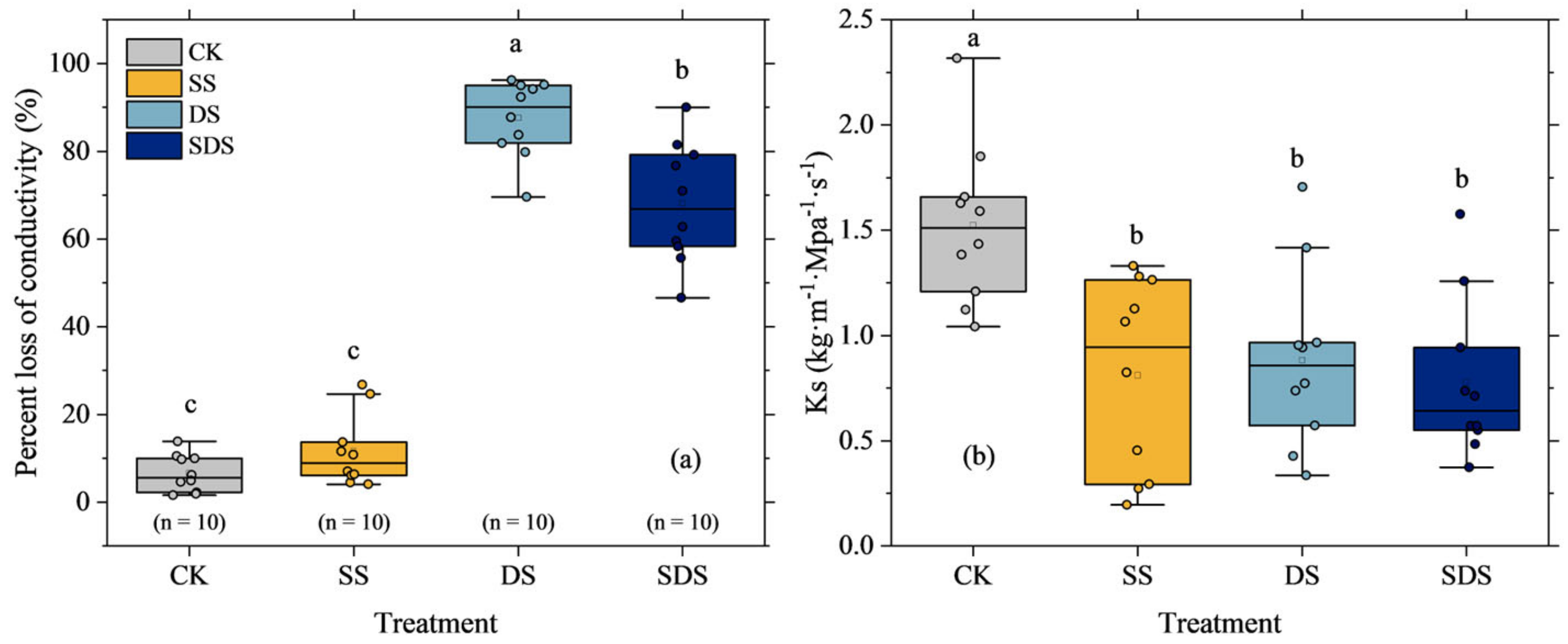 Agronomy 14 00439 g006