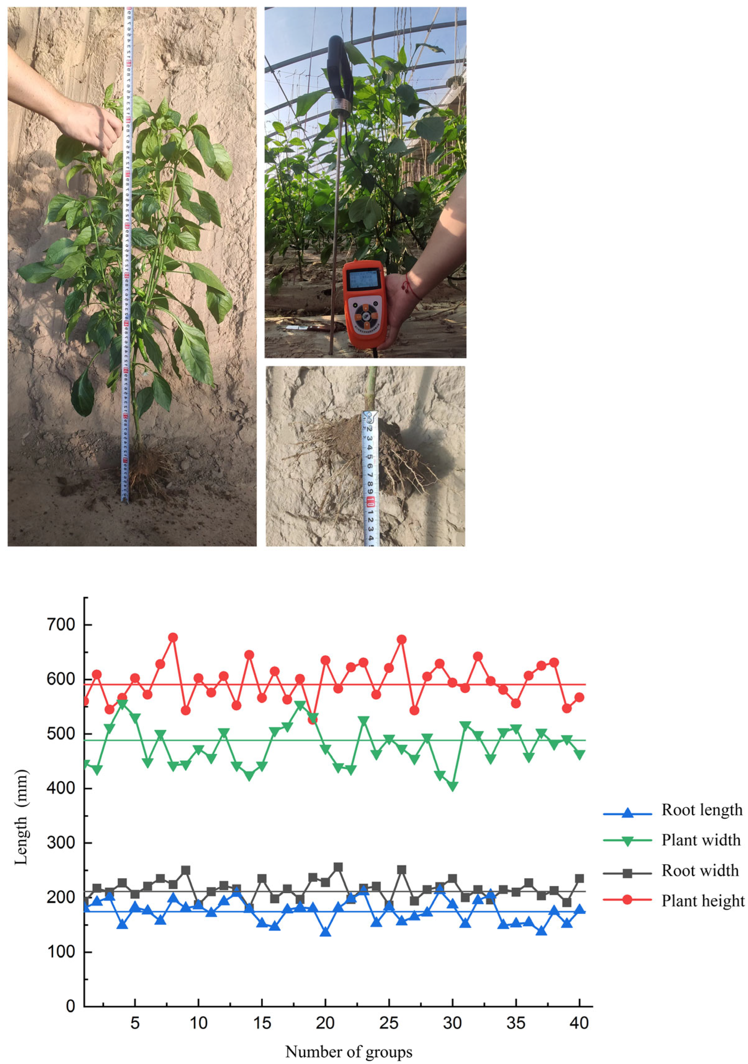 Agronomy 14 00446 g001 Agronomy 14 00446 g001