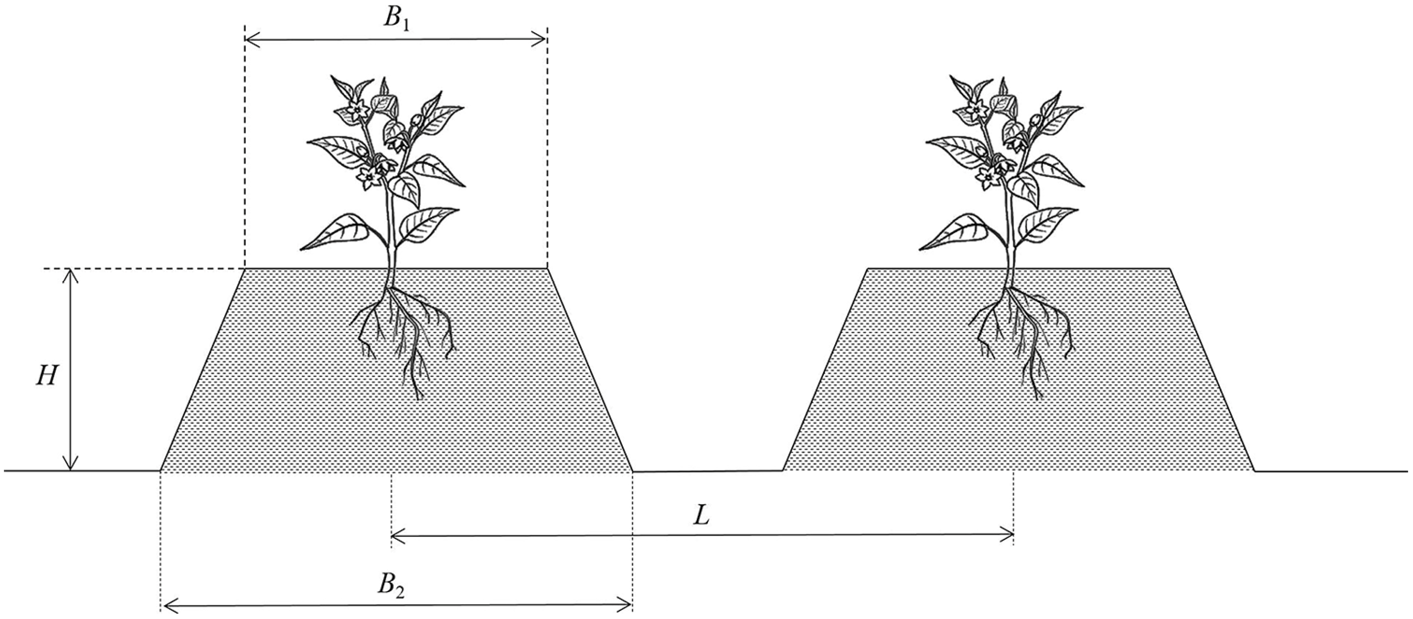 Agronomy 14 00446 g002 Agronomy 14 00446 g002