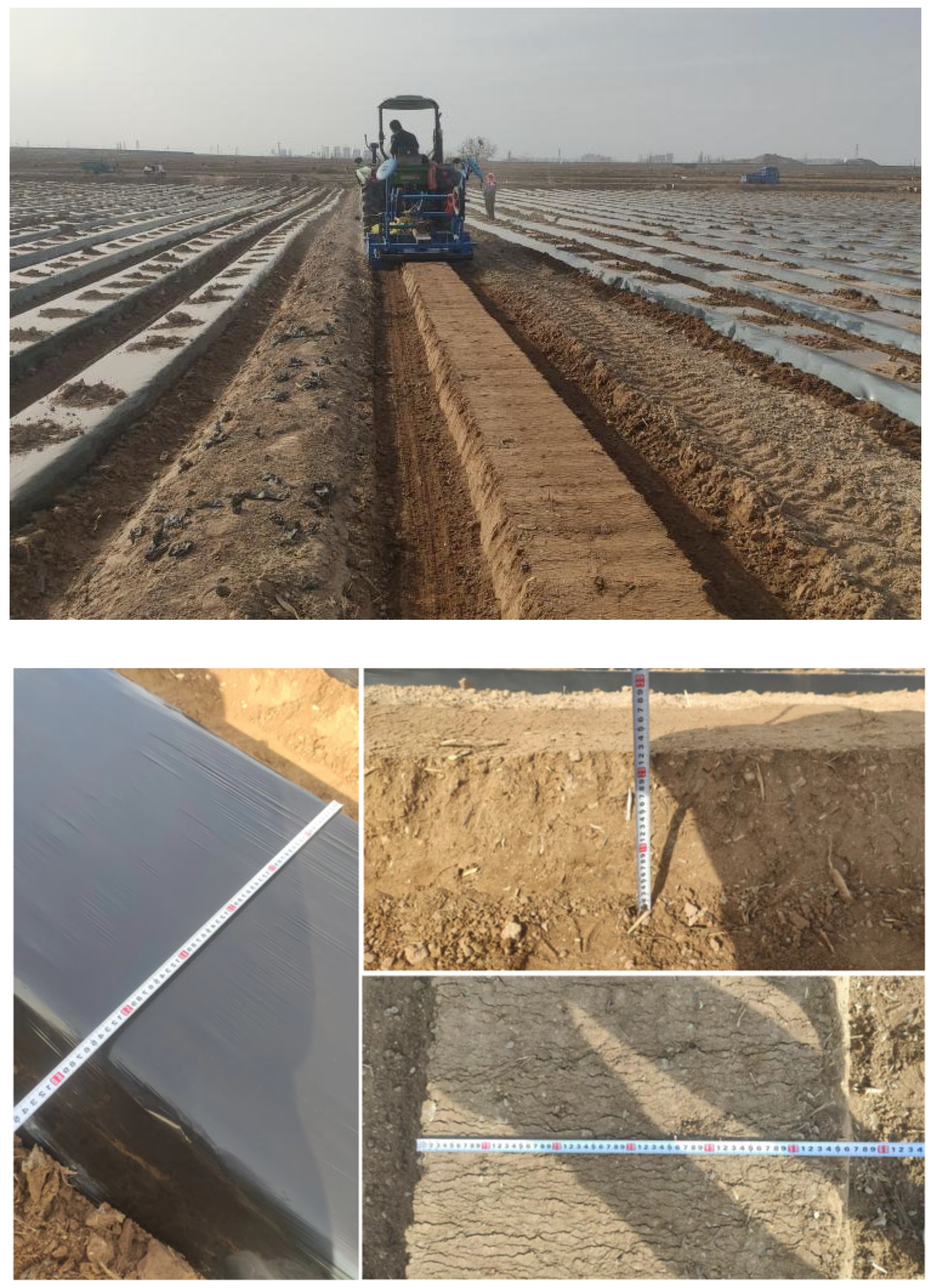 Agronomy 14 00446 g014 Agronomy 14 00446 g014