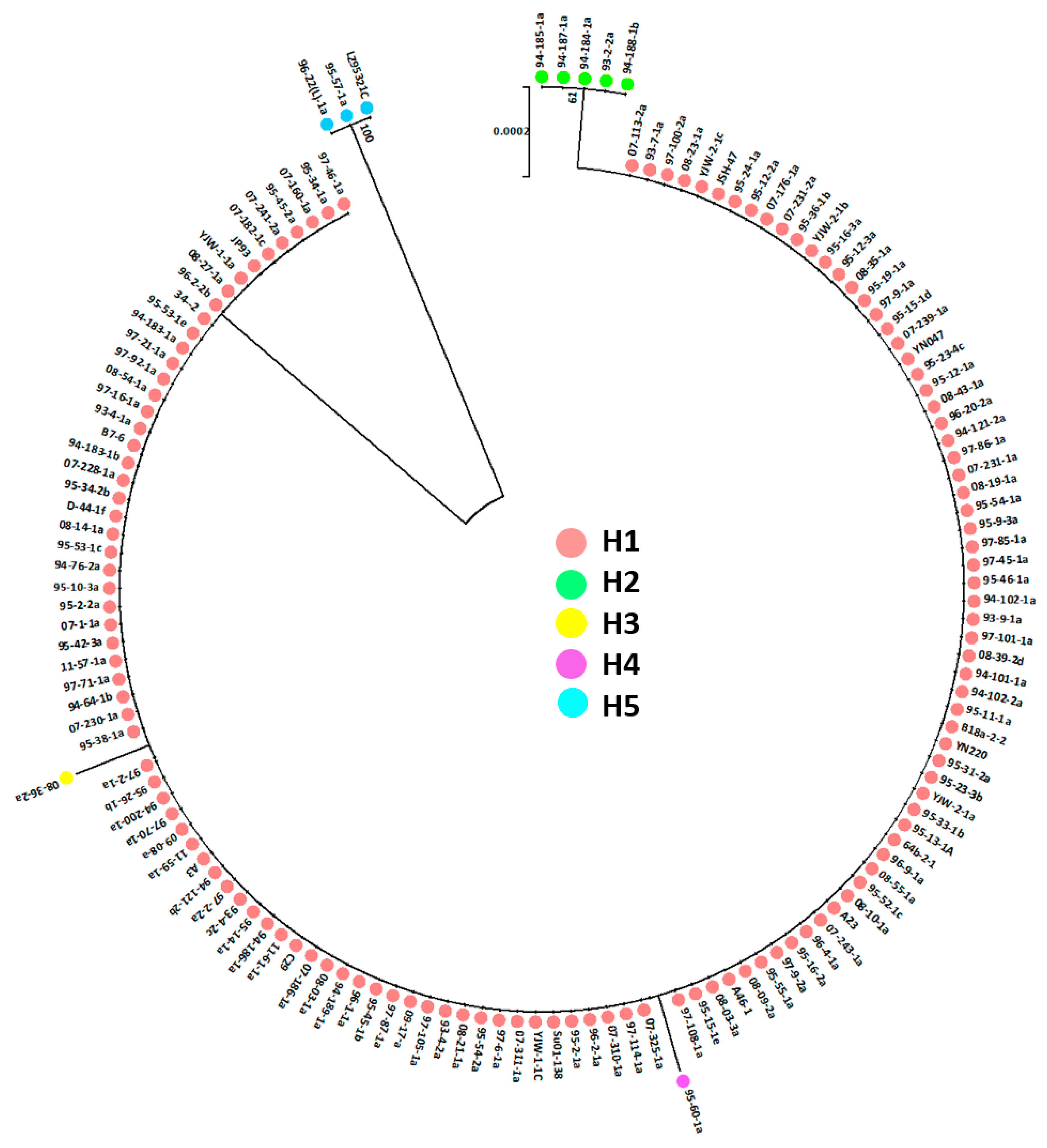 Agronomy 14 00454 g004 Agronomy 14 00454 g004