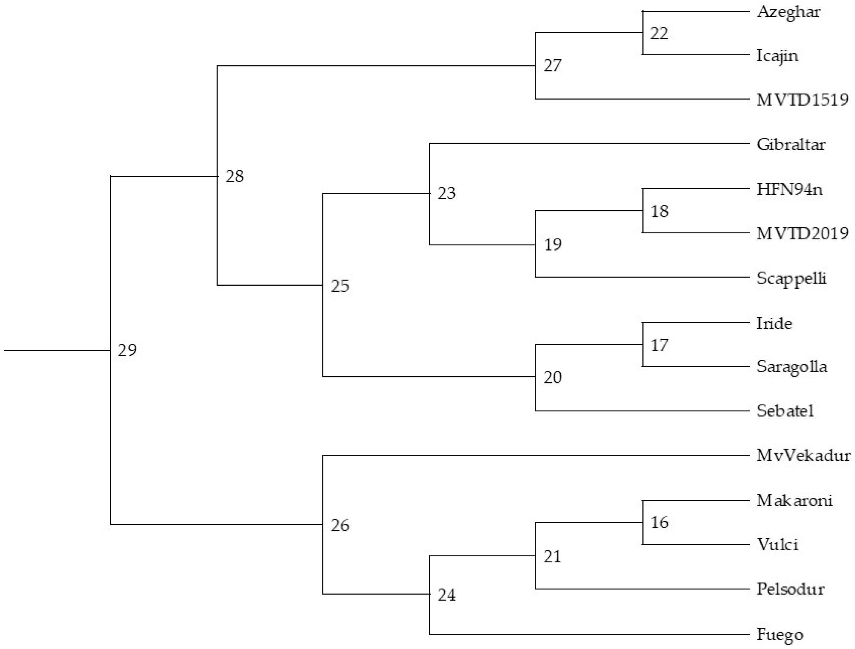 Agronomy 14 00458 g011