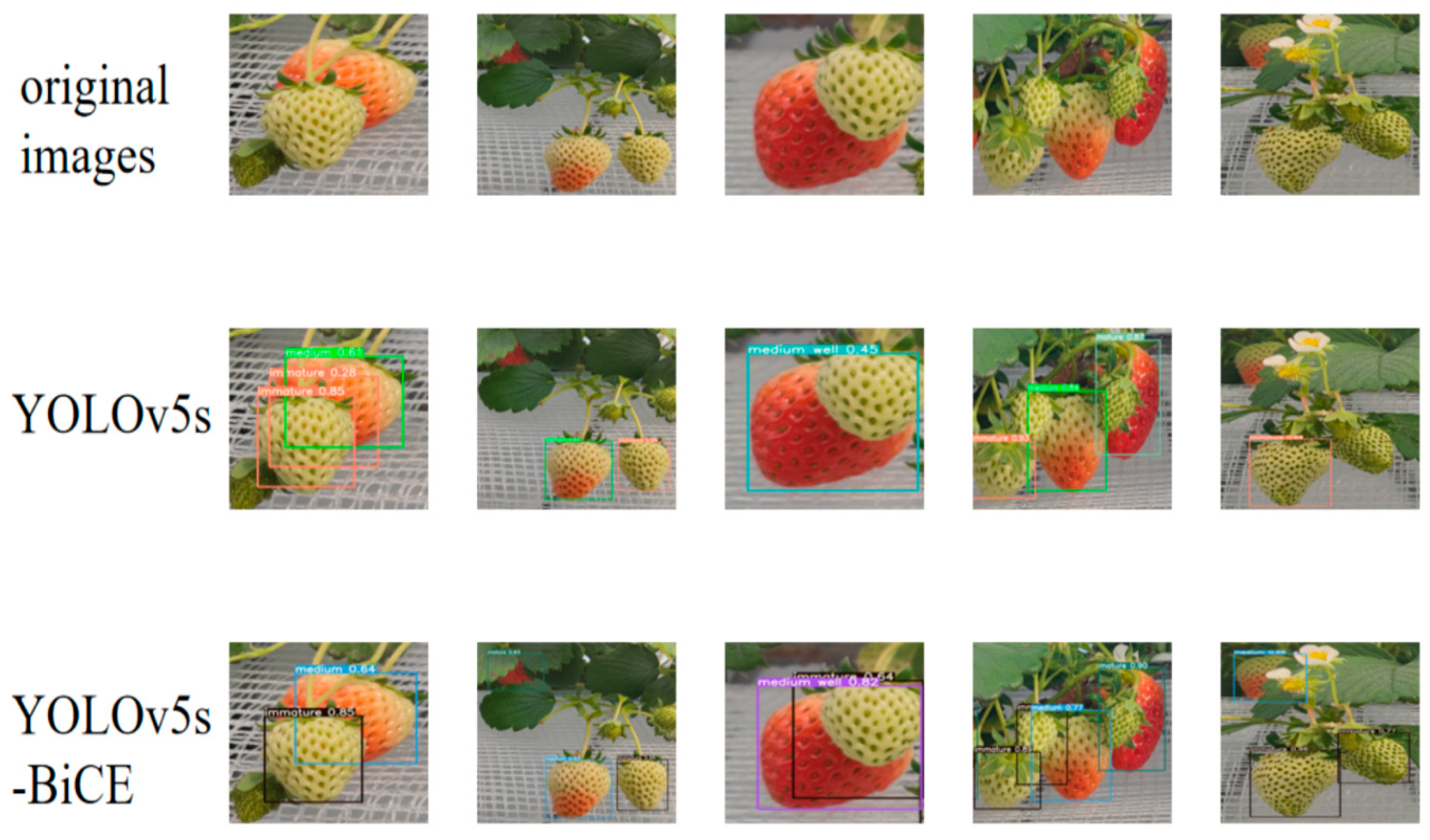 Agronomy 14 00460 g011