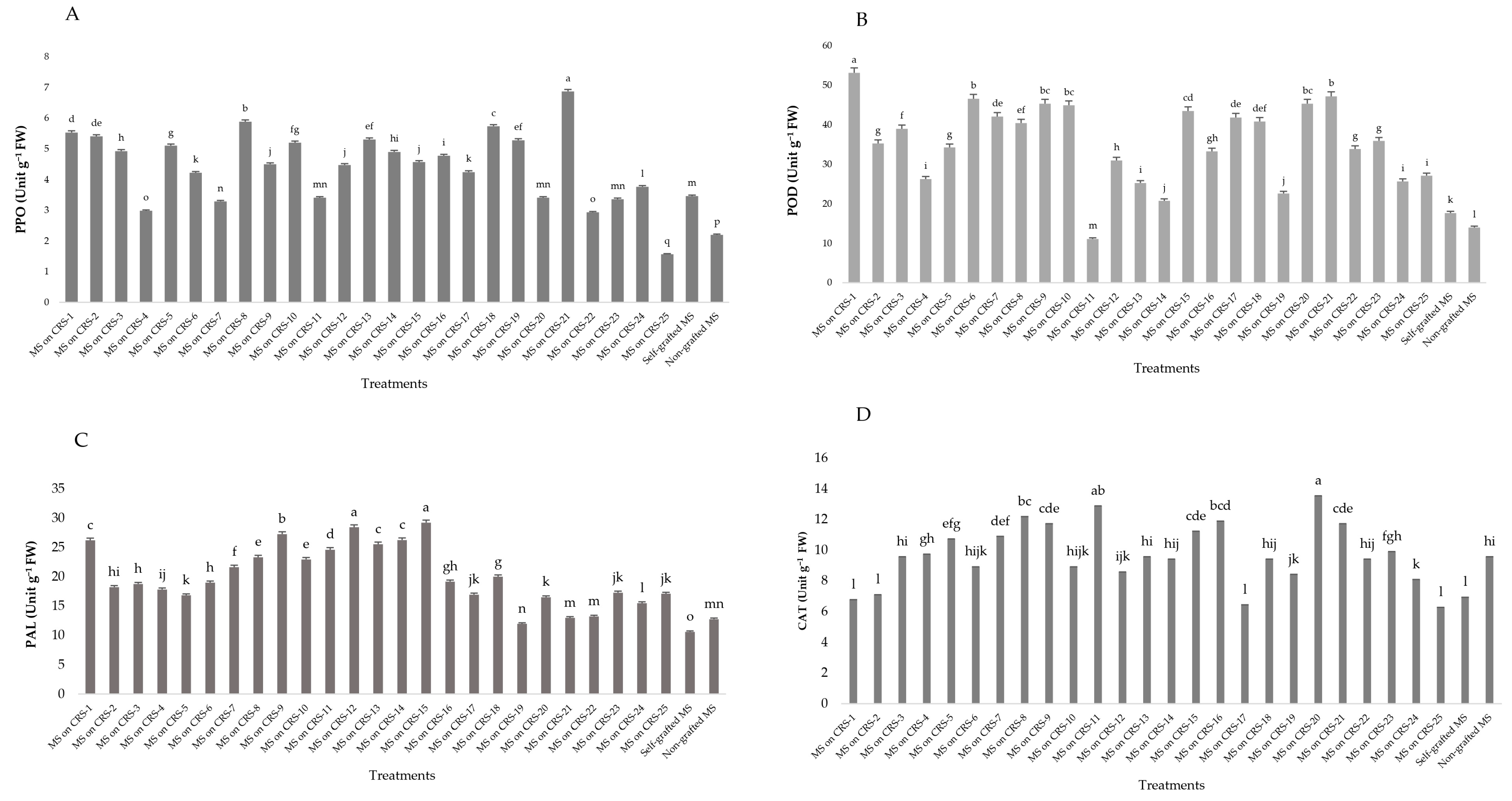 Agronomy 14 00470 g002 Agronomy 14 00470 g002