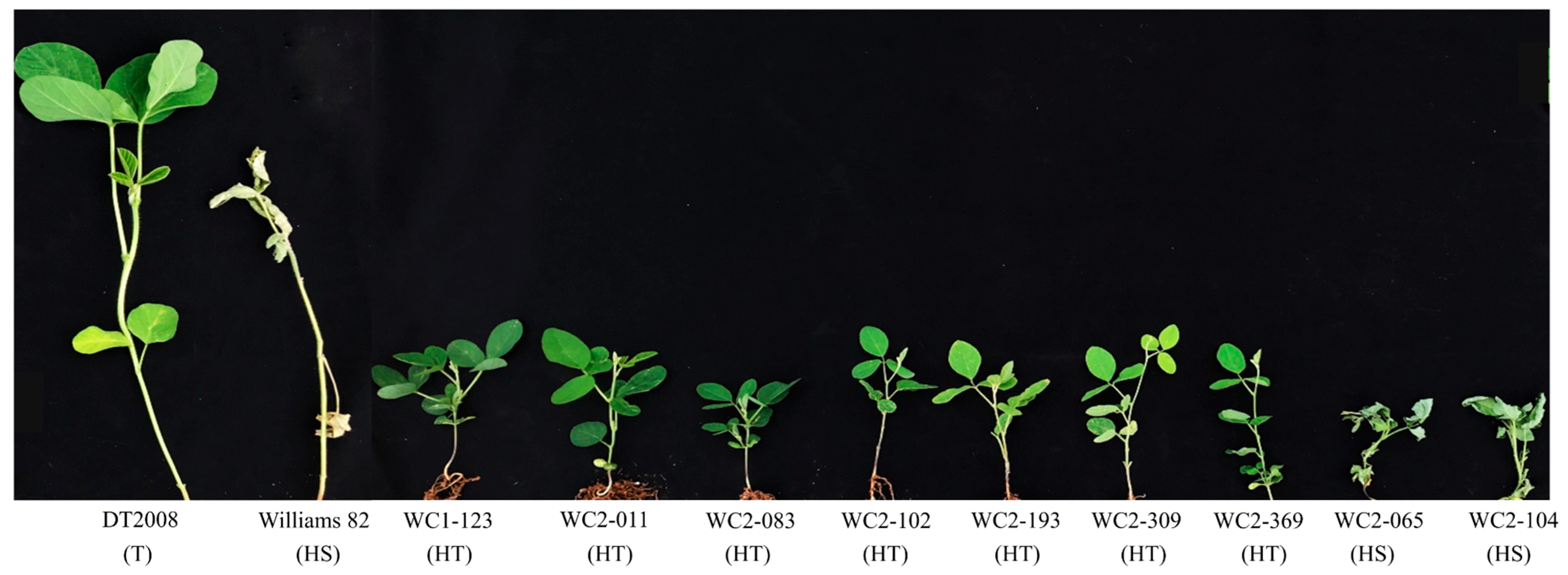 Agronomy 14 00471 g001