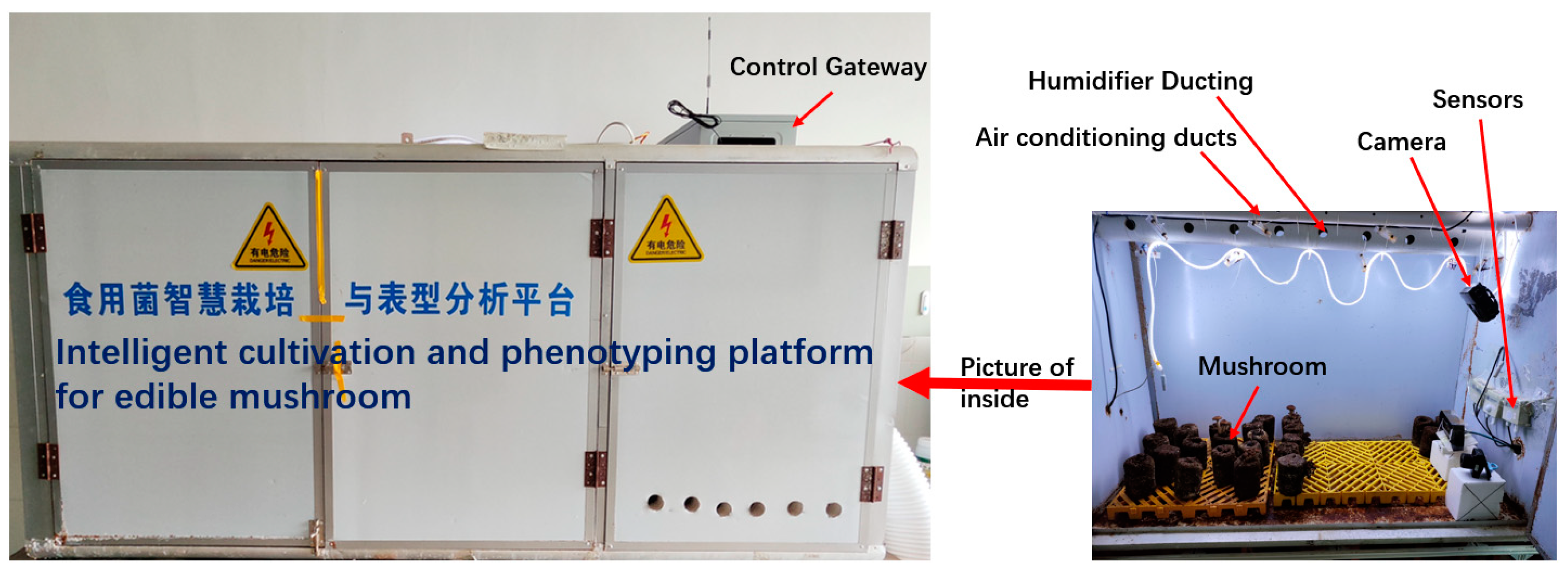 Agronomy 14 00473 g001