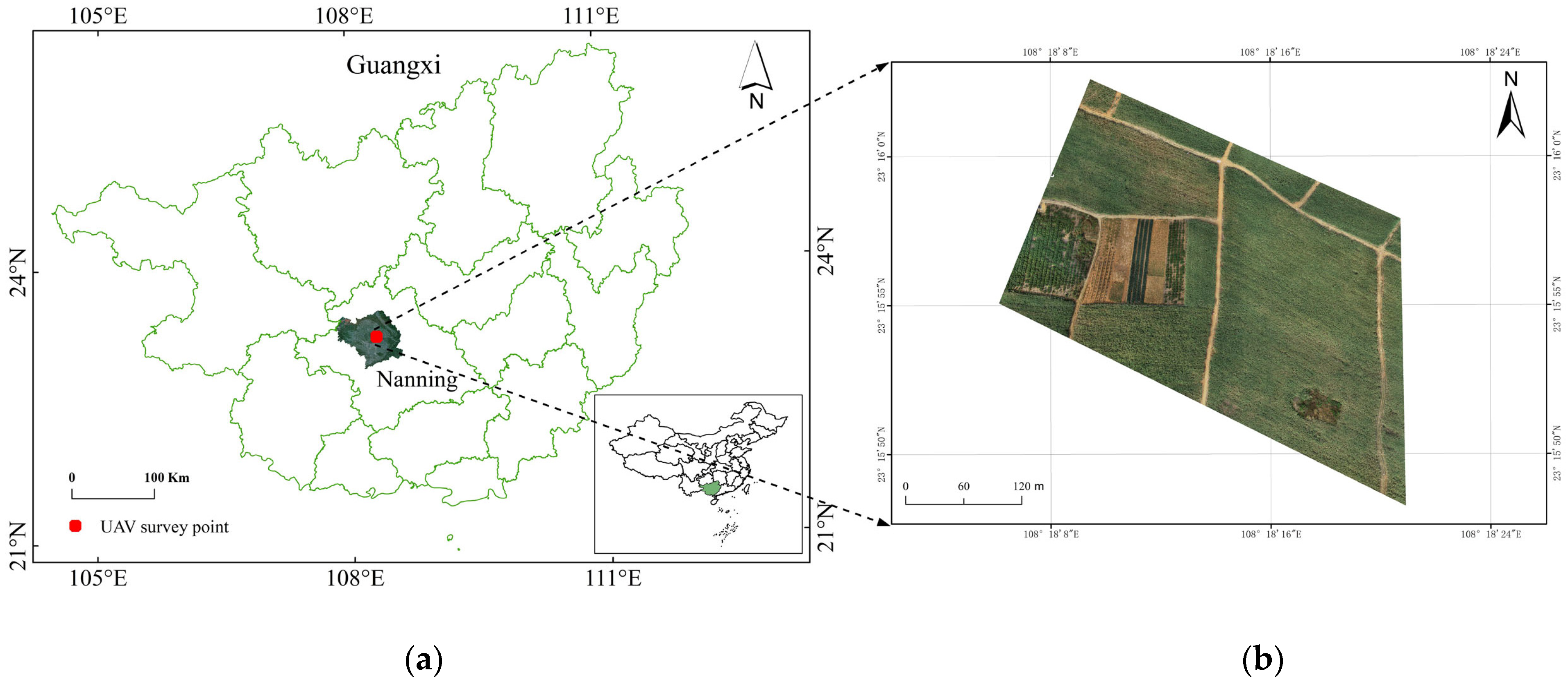 Agronomy 14 00476 g001
