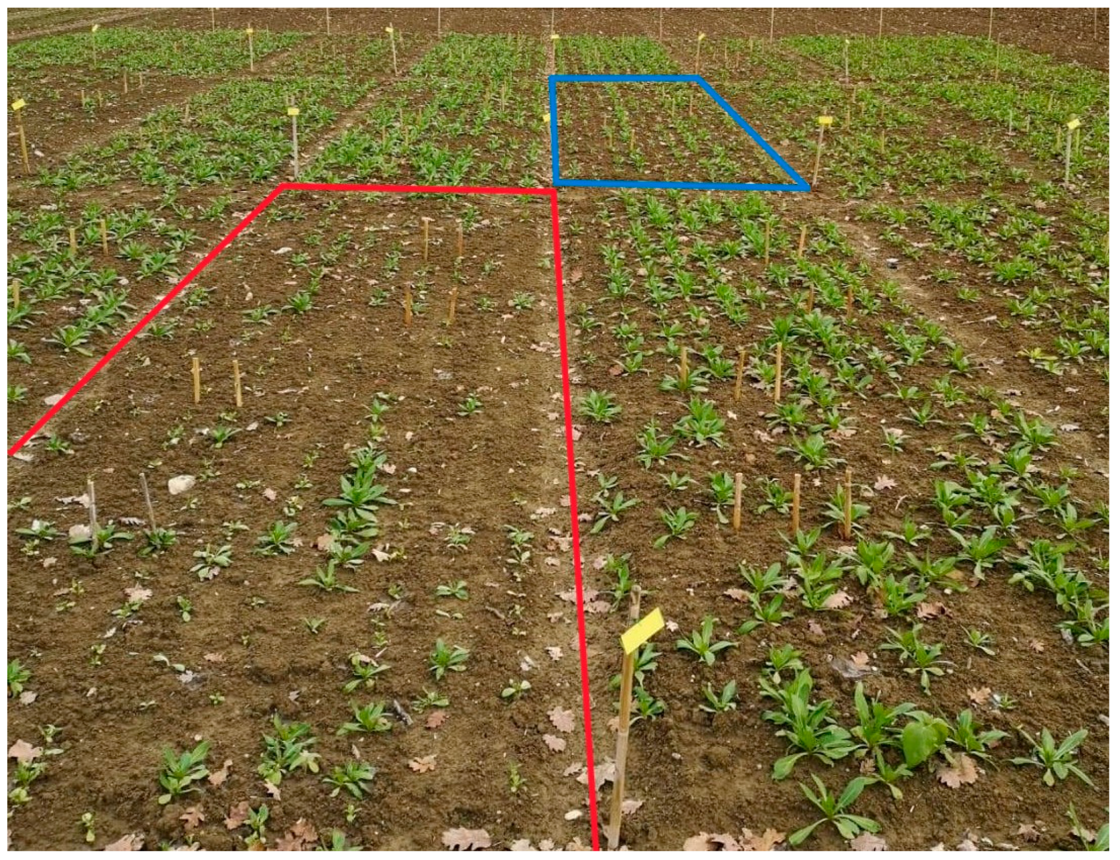 Agronomy 14 00482 g002 Agronomy 14 00482 g002