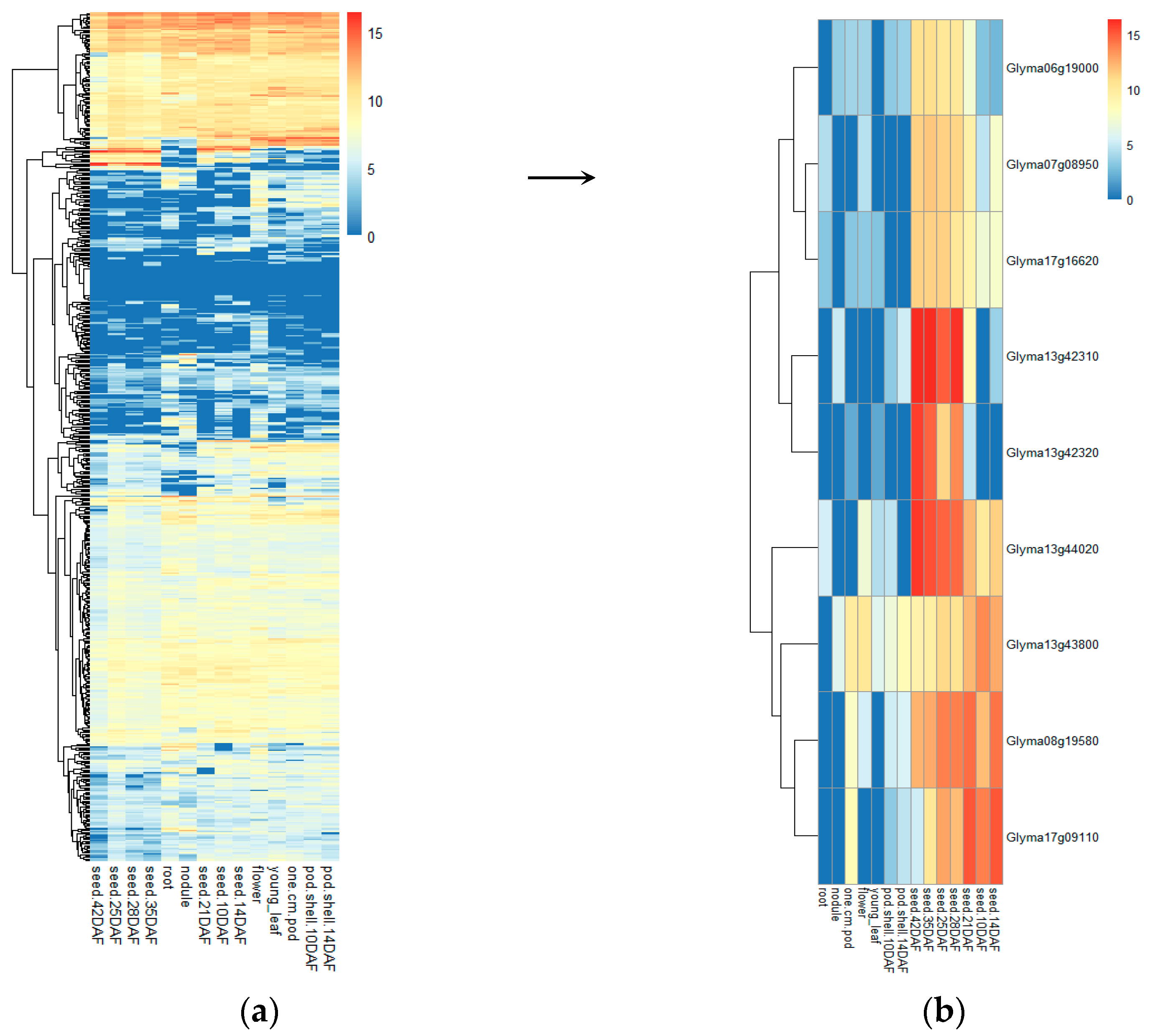 Agronomy 14 00483 g004