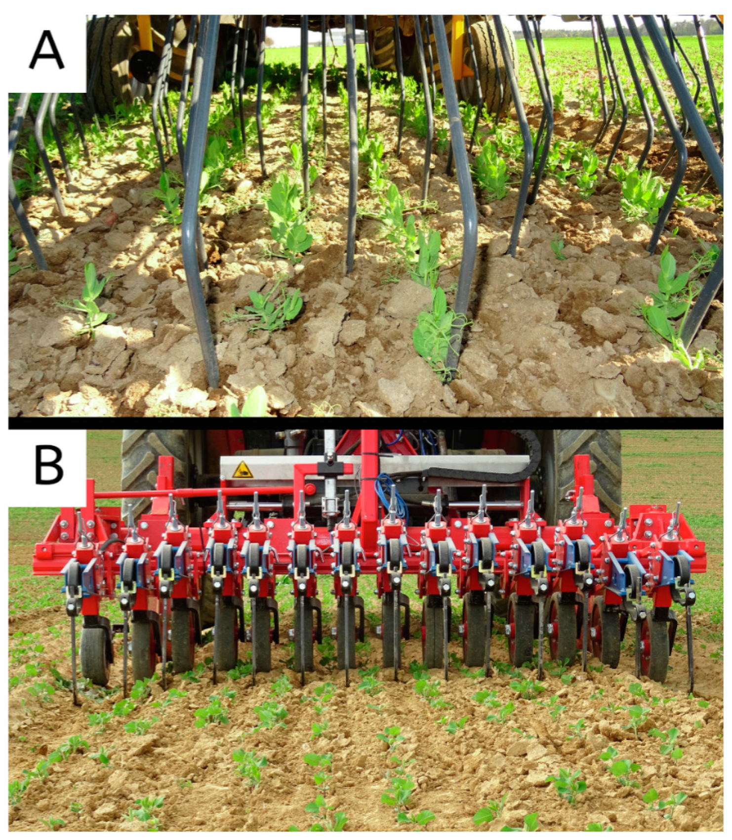Agronomy 14 00486 g005