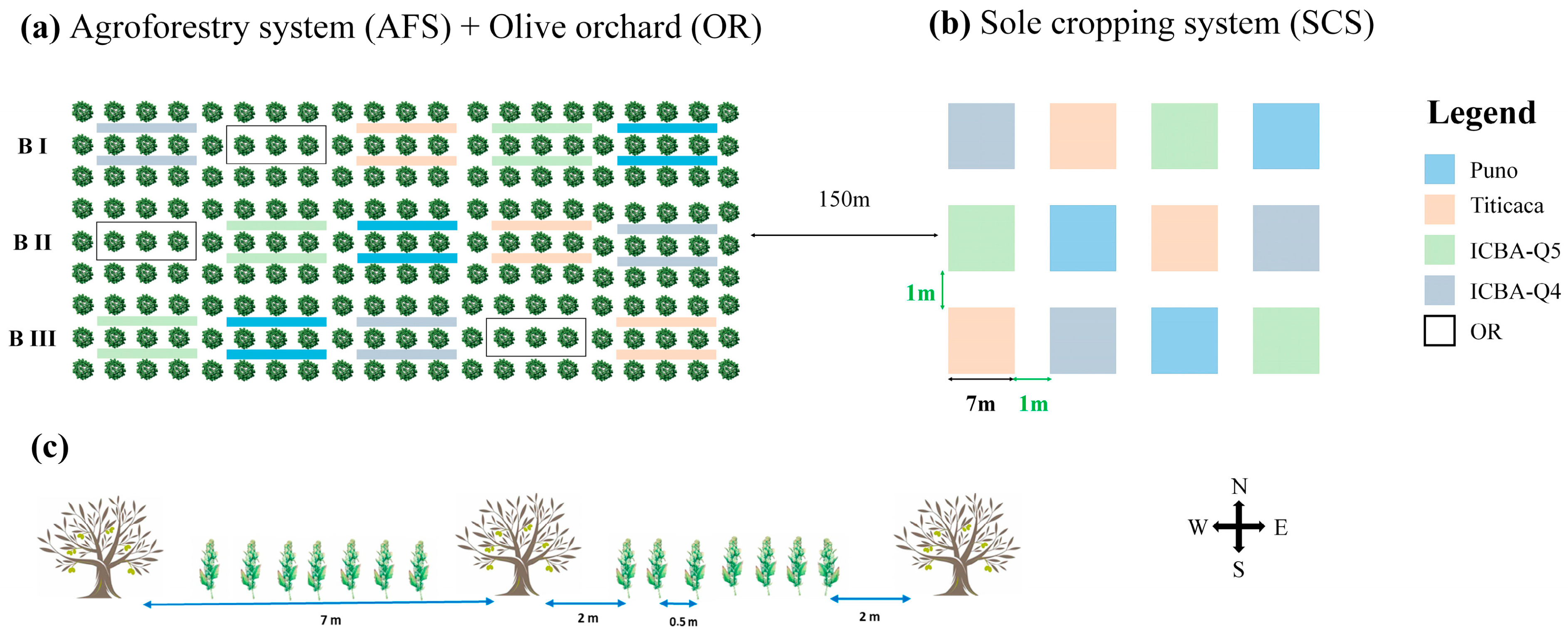 Agronomy 14 00495 g003
