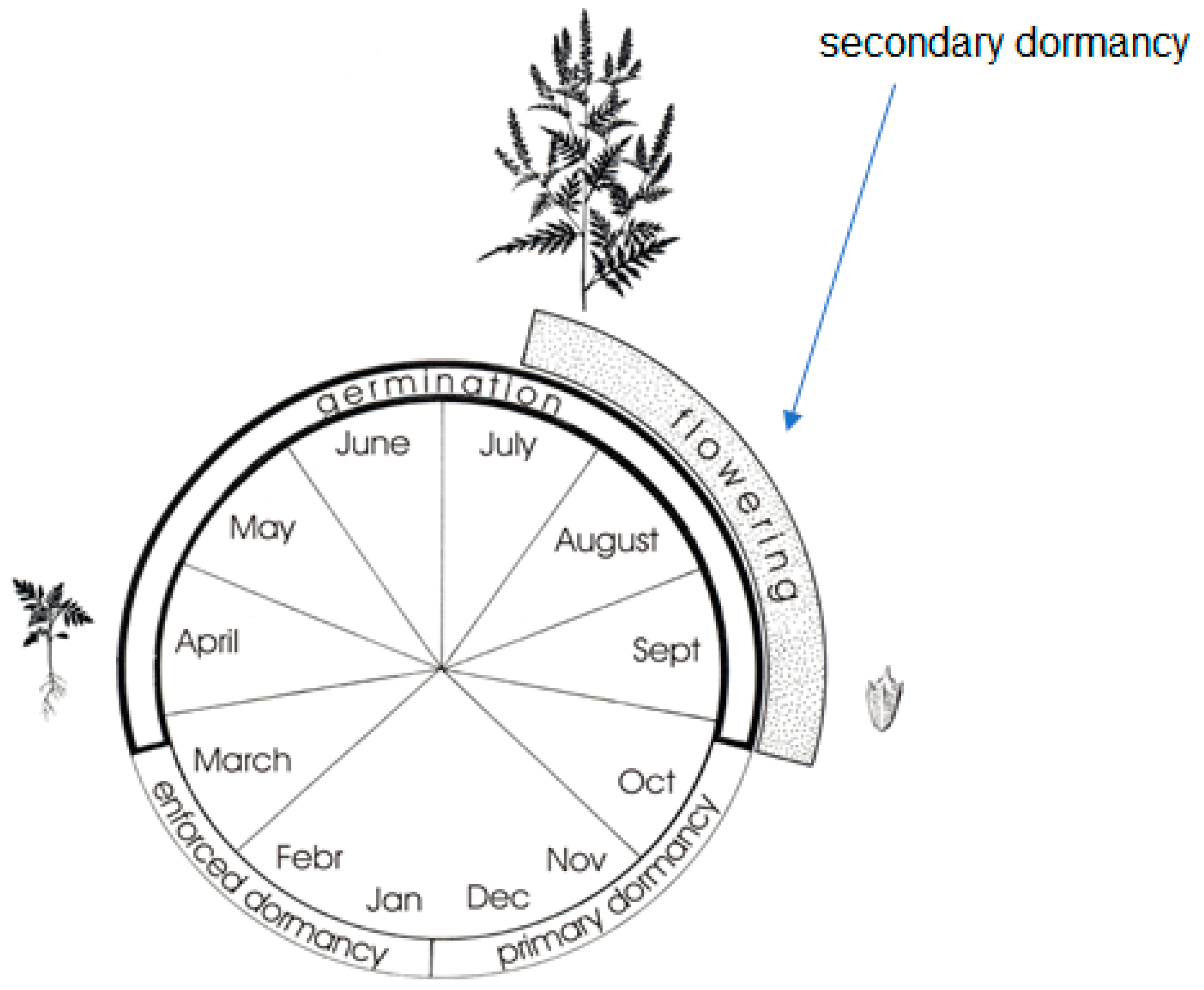 Agronomy 14 00497 g003