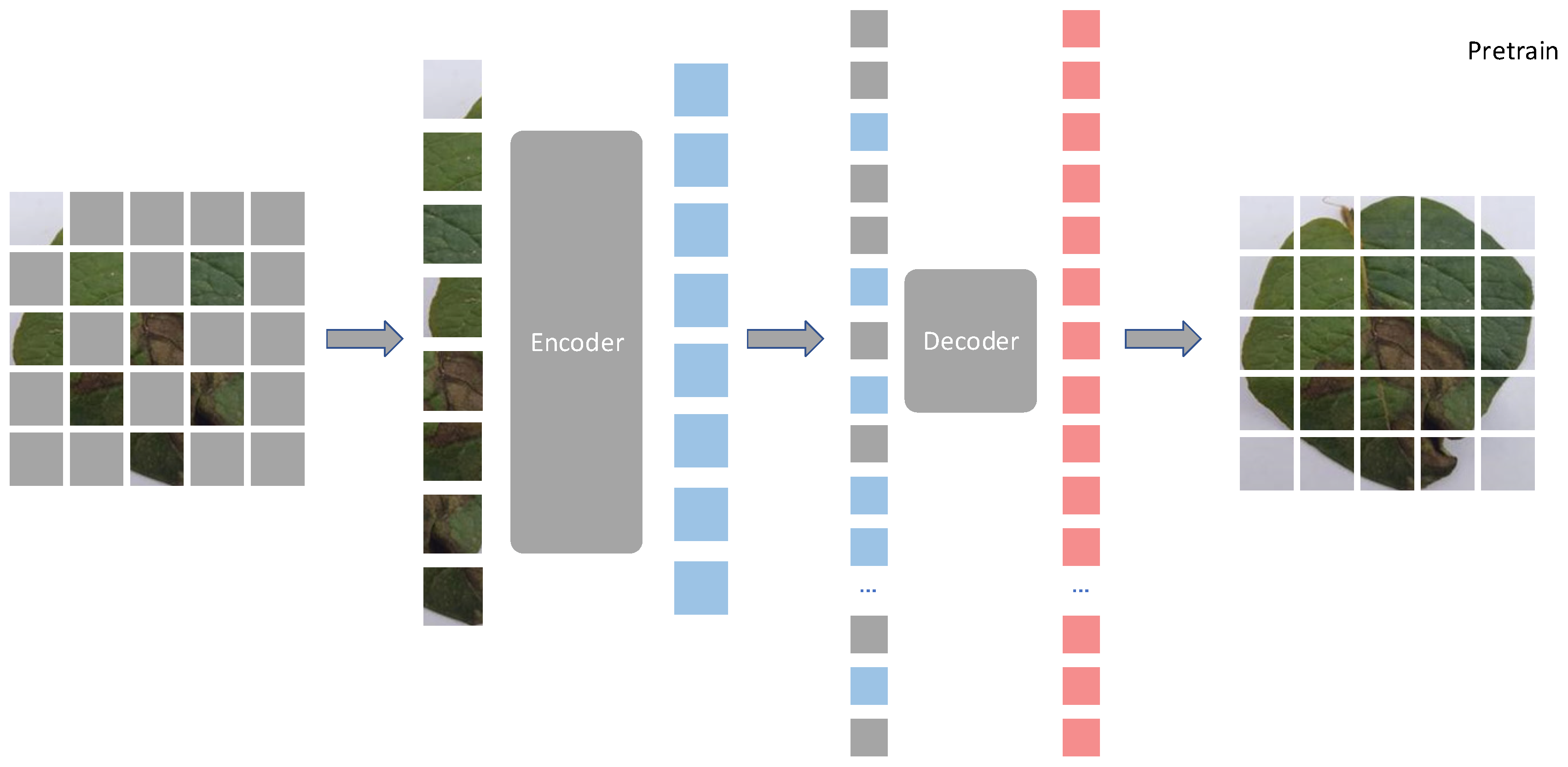 Agronomy 14 00500 g002