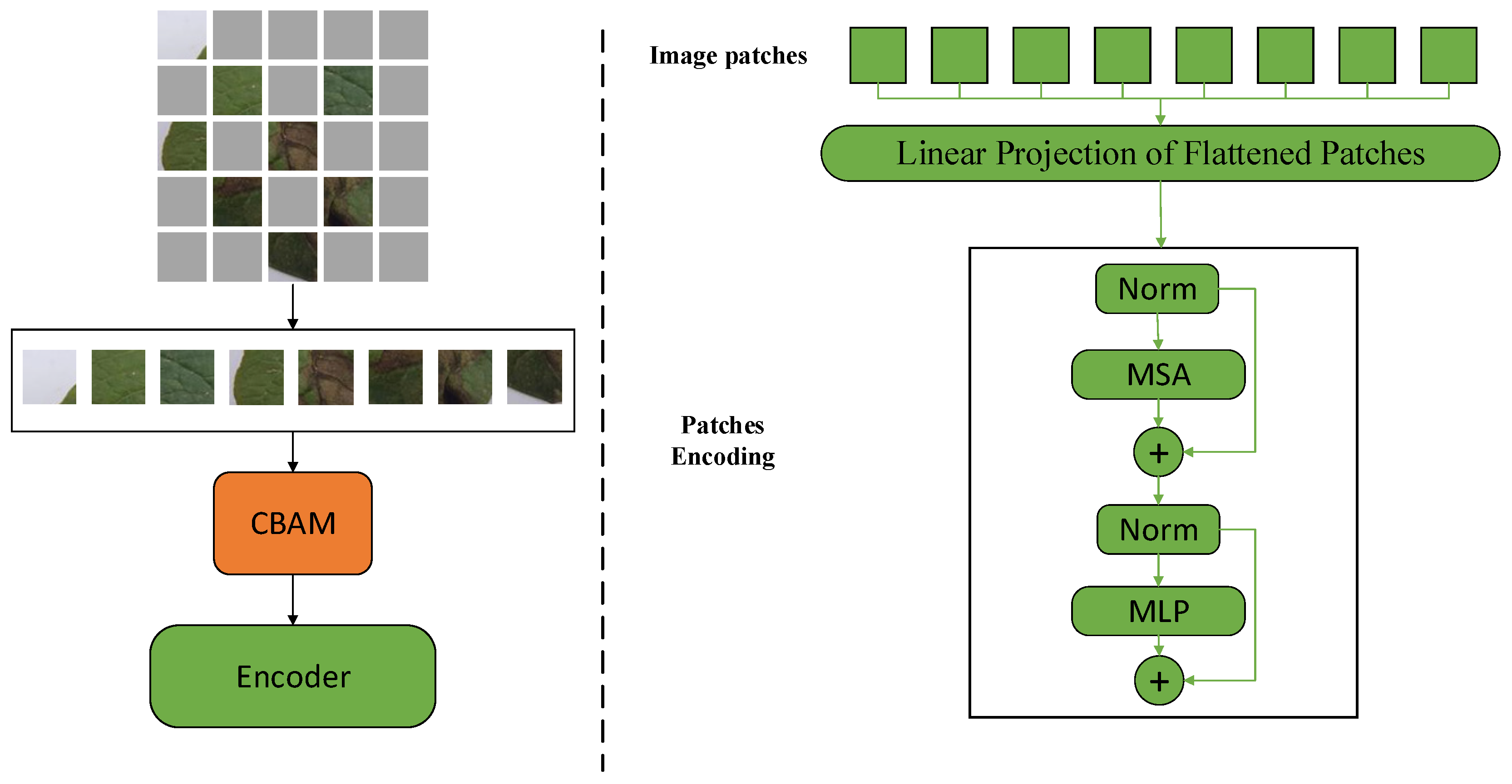 Agronomy 14 00500 g004