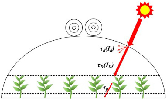 Agronomy 14 00510 g005