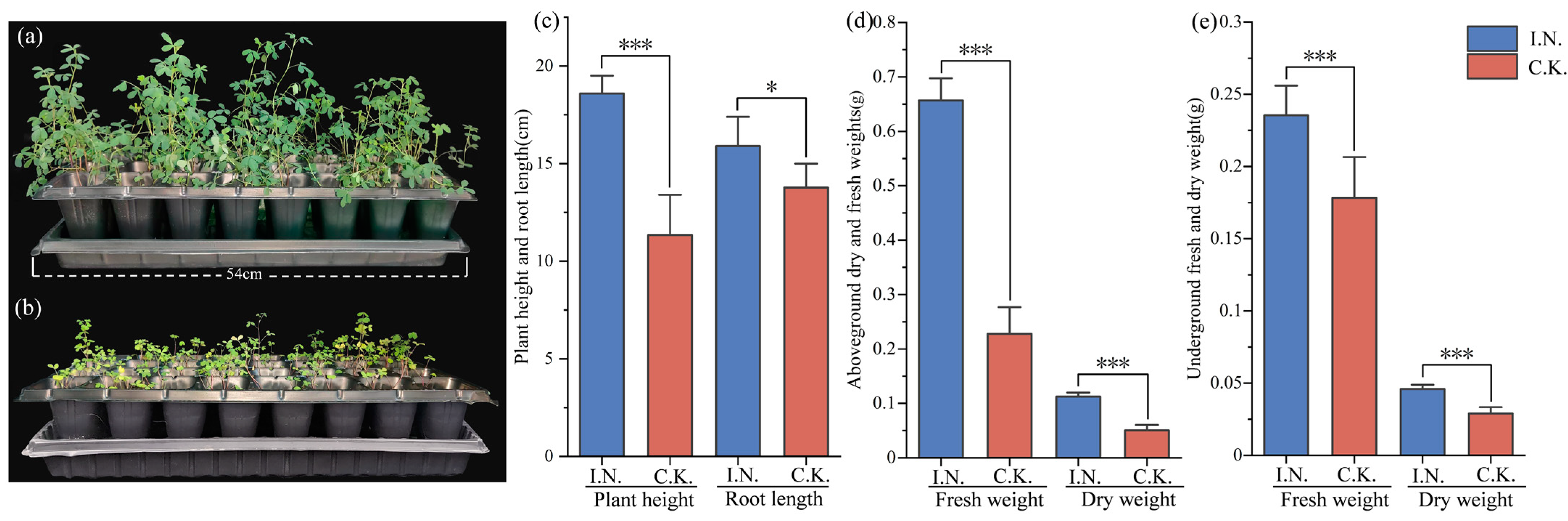 Agronomy 14 00511 g001