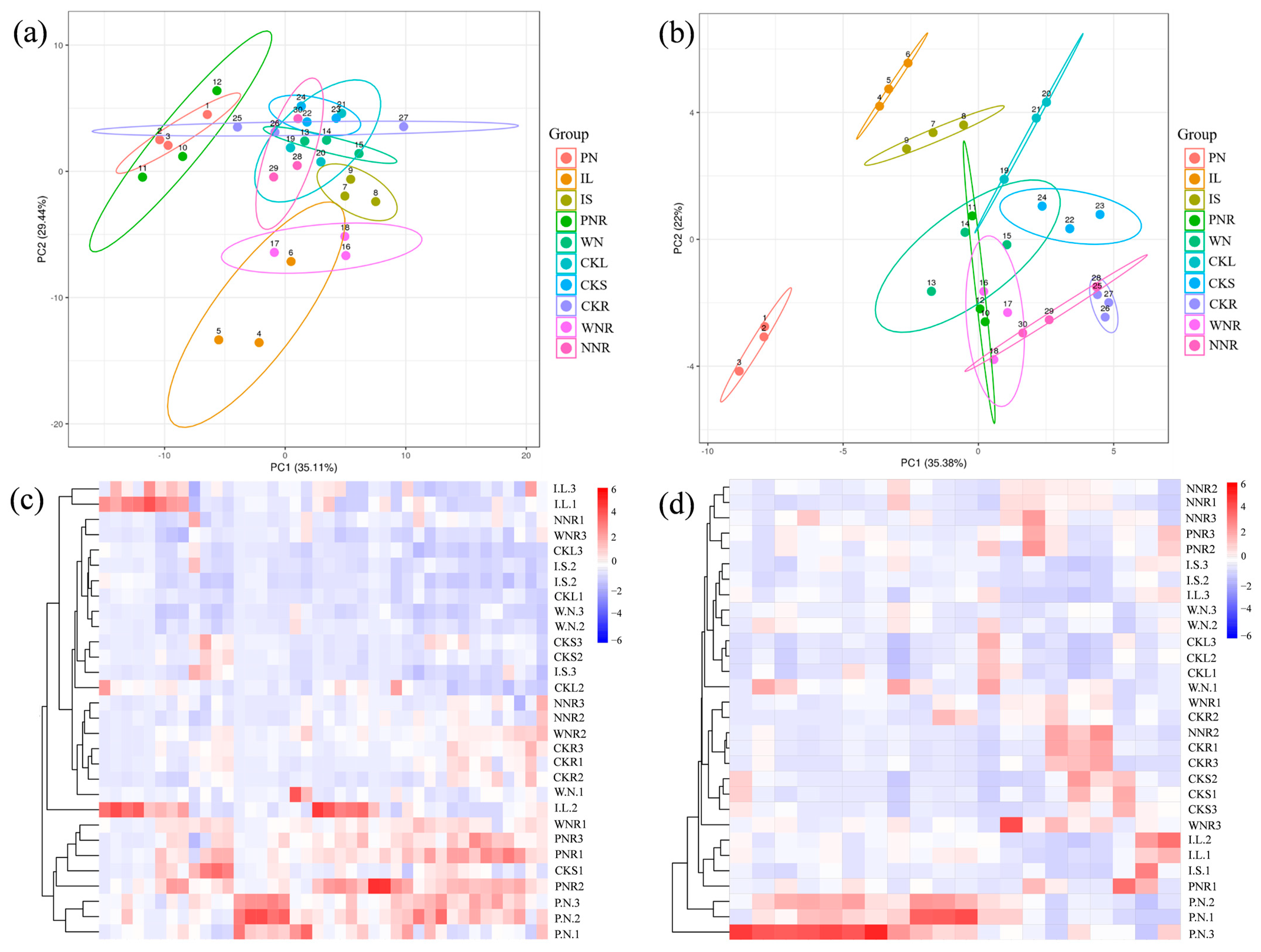 Agronomy 14 00511 g005