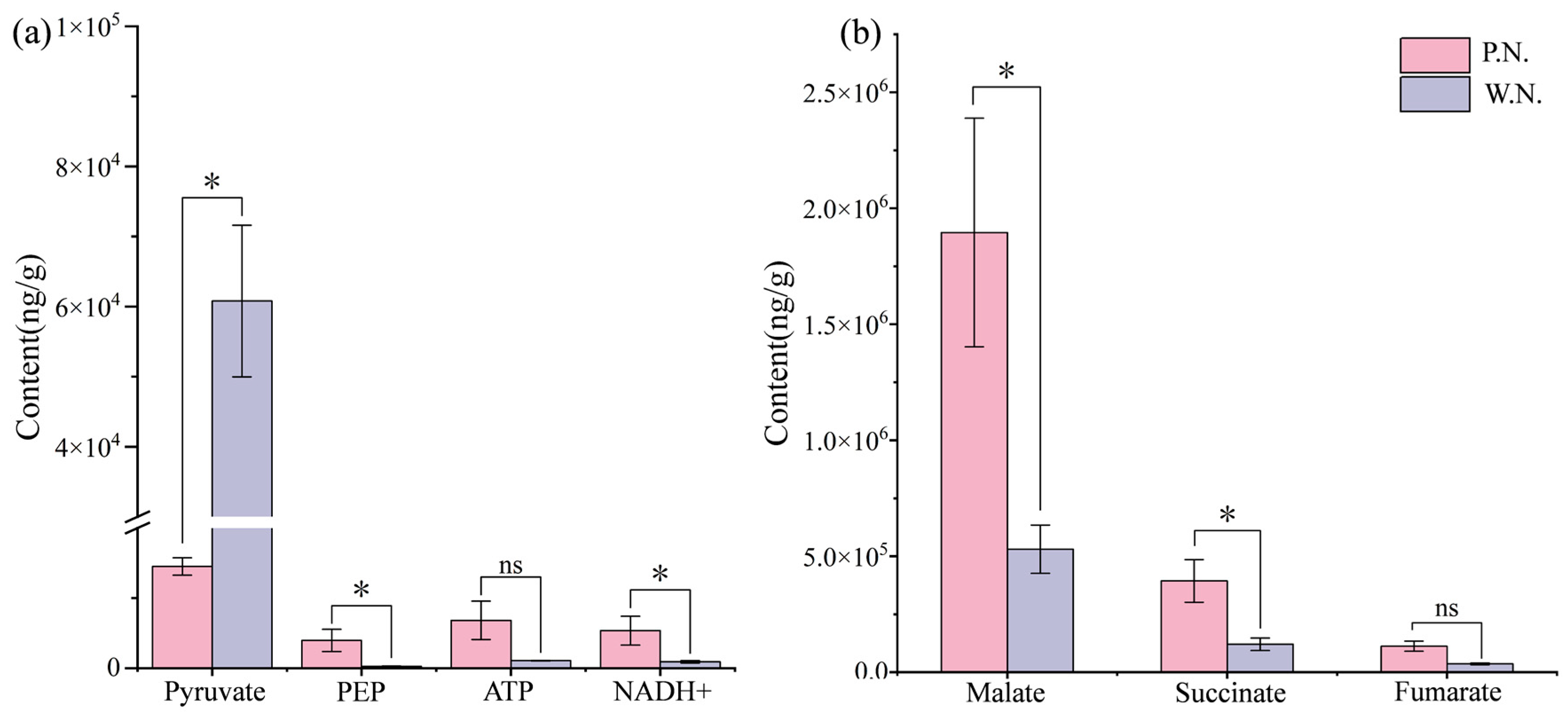 Agronomy 14 00511 g010