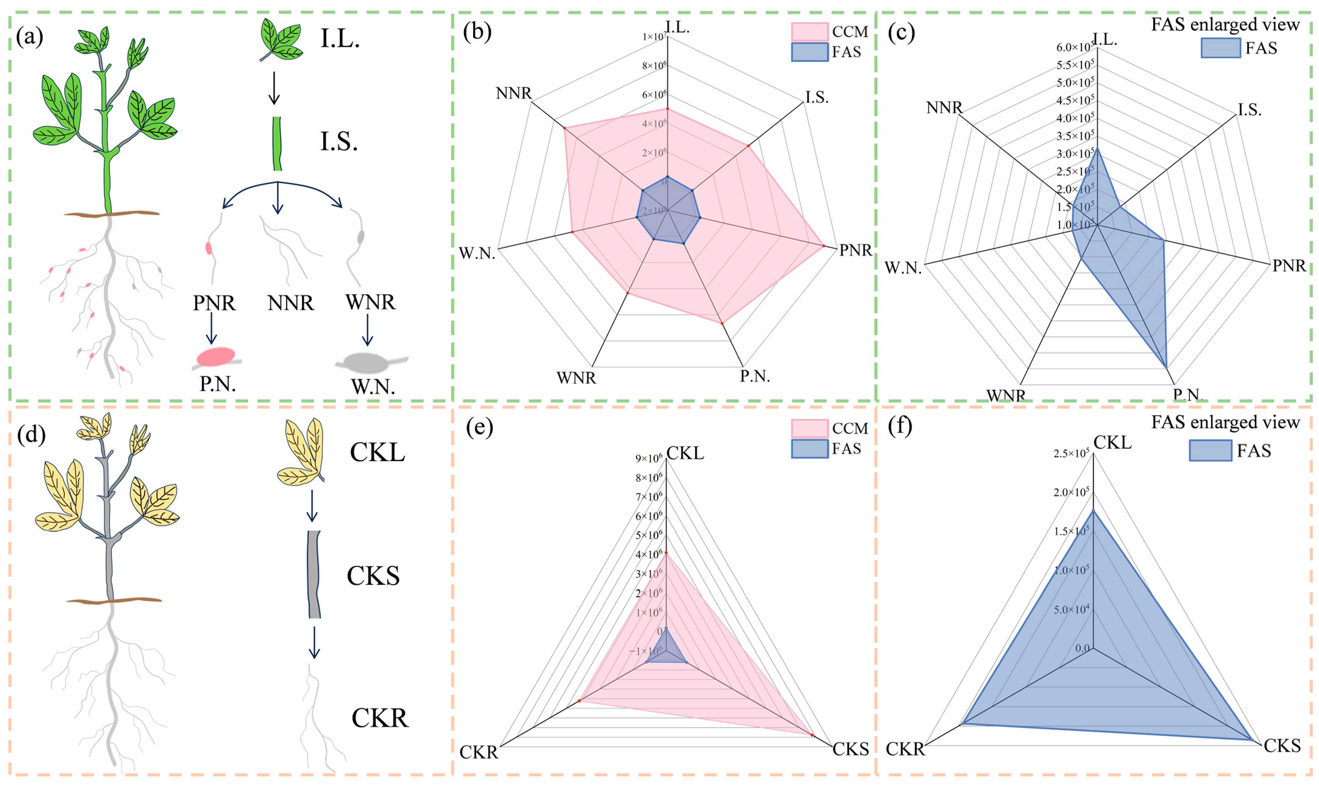 Agronomy 14 00511 g012