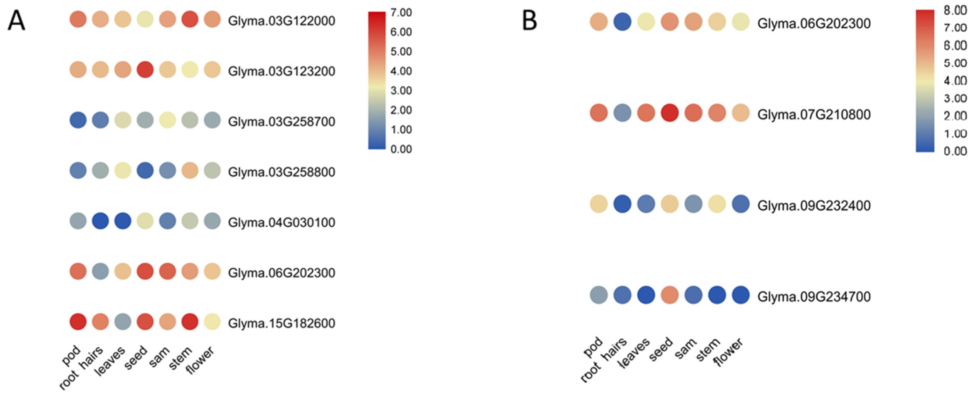 Agronomy 14 00512 g004